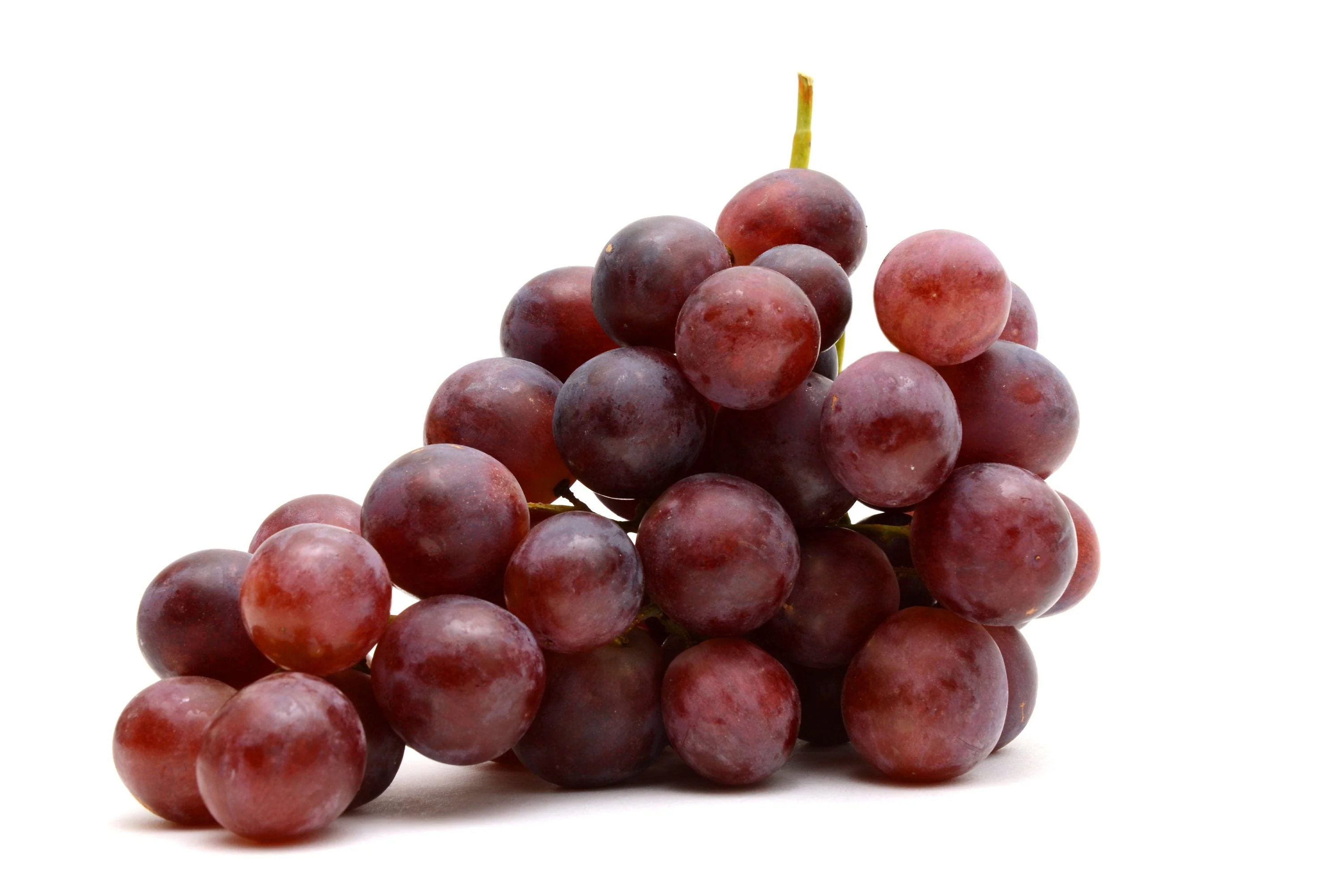 10 Giant RED GLOBE GRAPE Vitis Vinifera Fruit Vine Seeds - Image 8