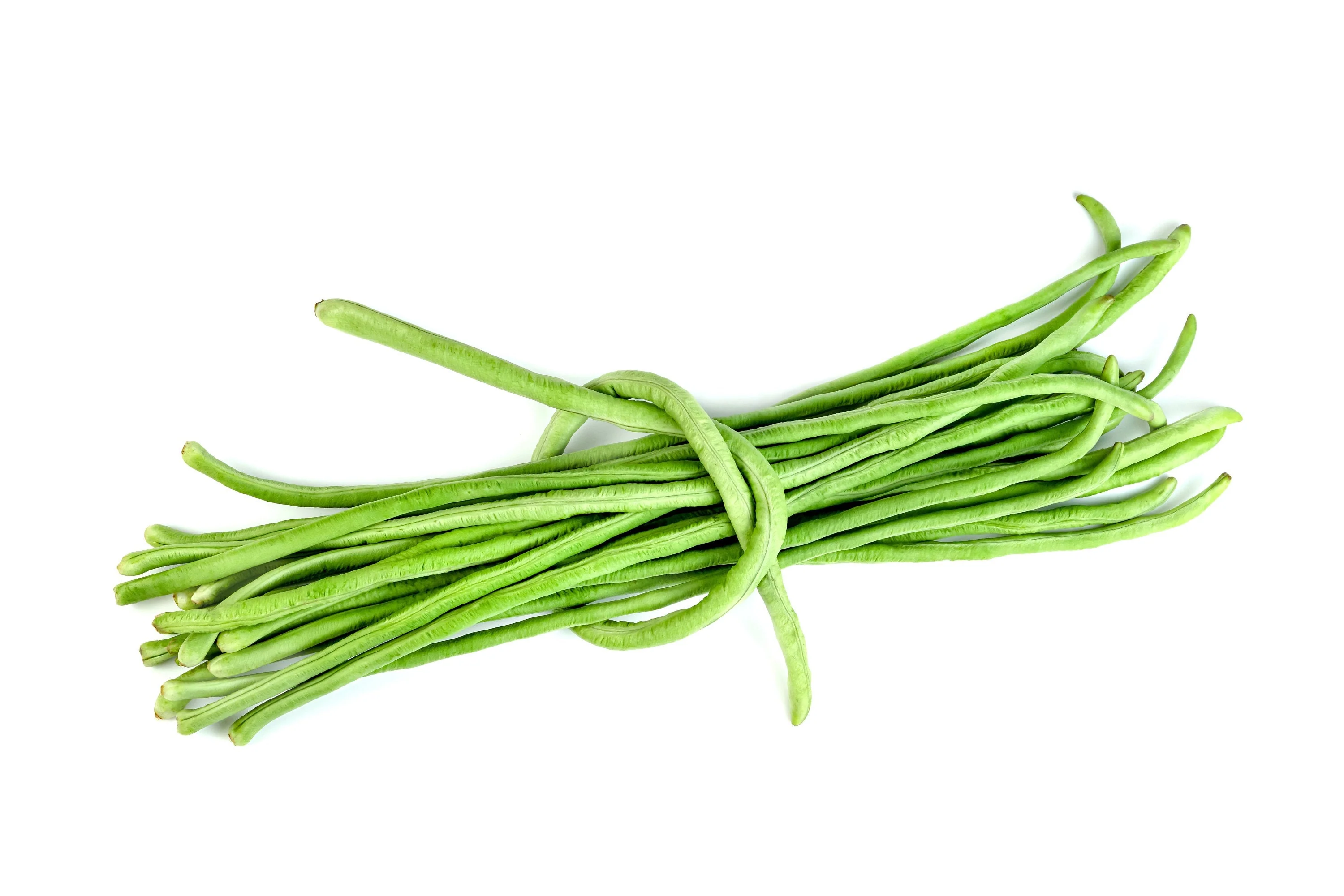 100 LADY COWPEA Cow Pea Southern Pea Vigna Unguiculata Legume White Lady Finger Bean Vegetable Seeds - Image 4