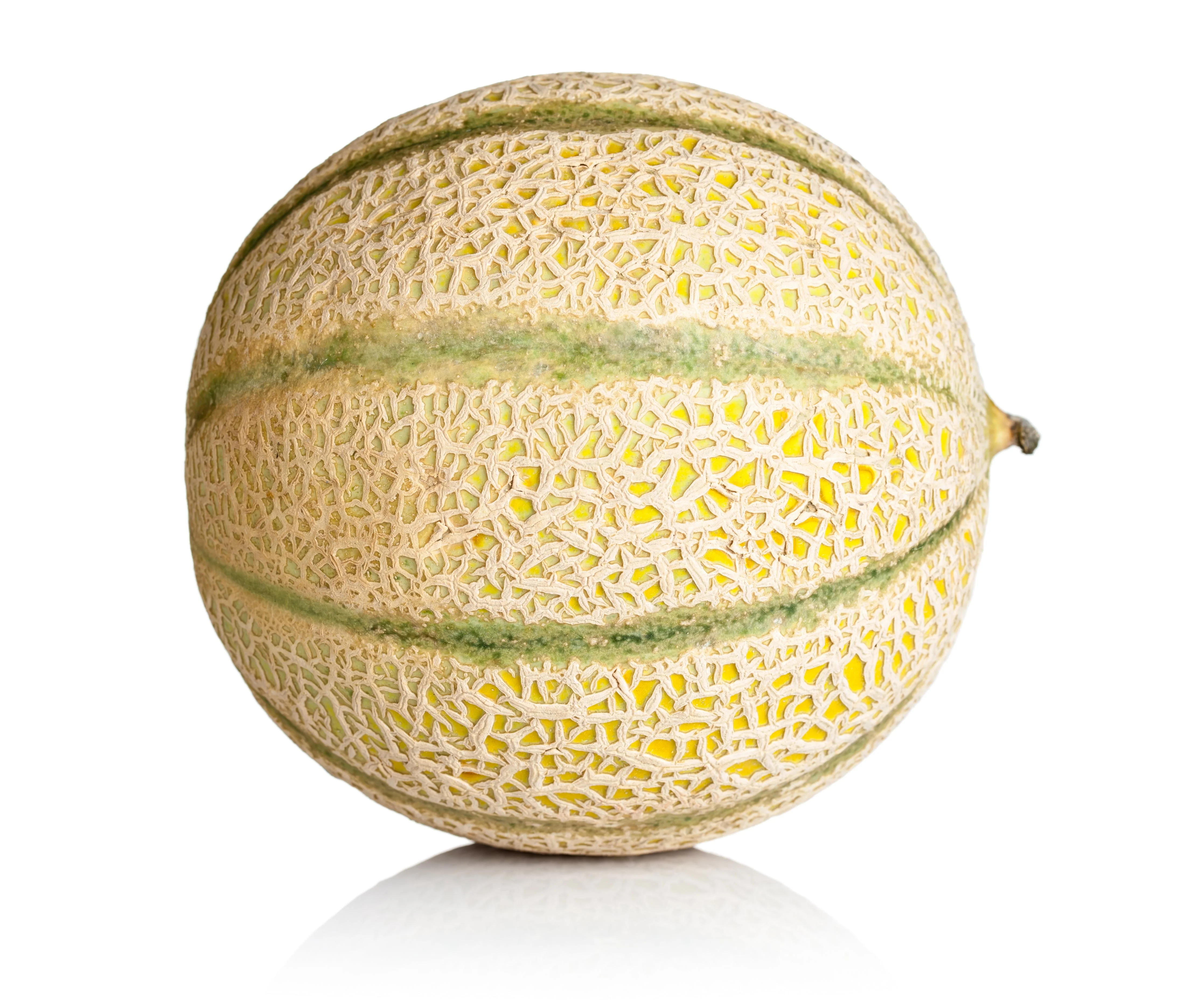 100 Minnesota MIDGET CANTALOUPE MELON Cucumis Melo Reticulatus Fruit Seeds - Image 4
