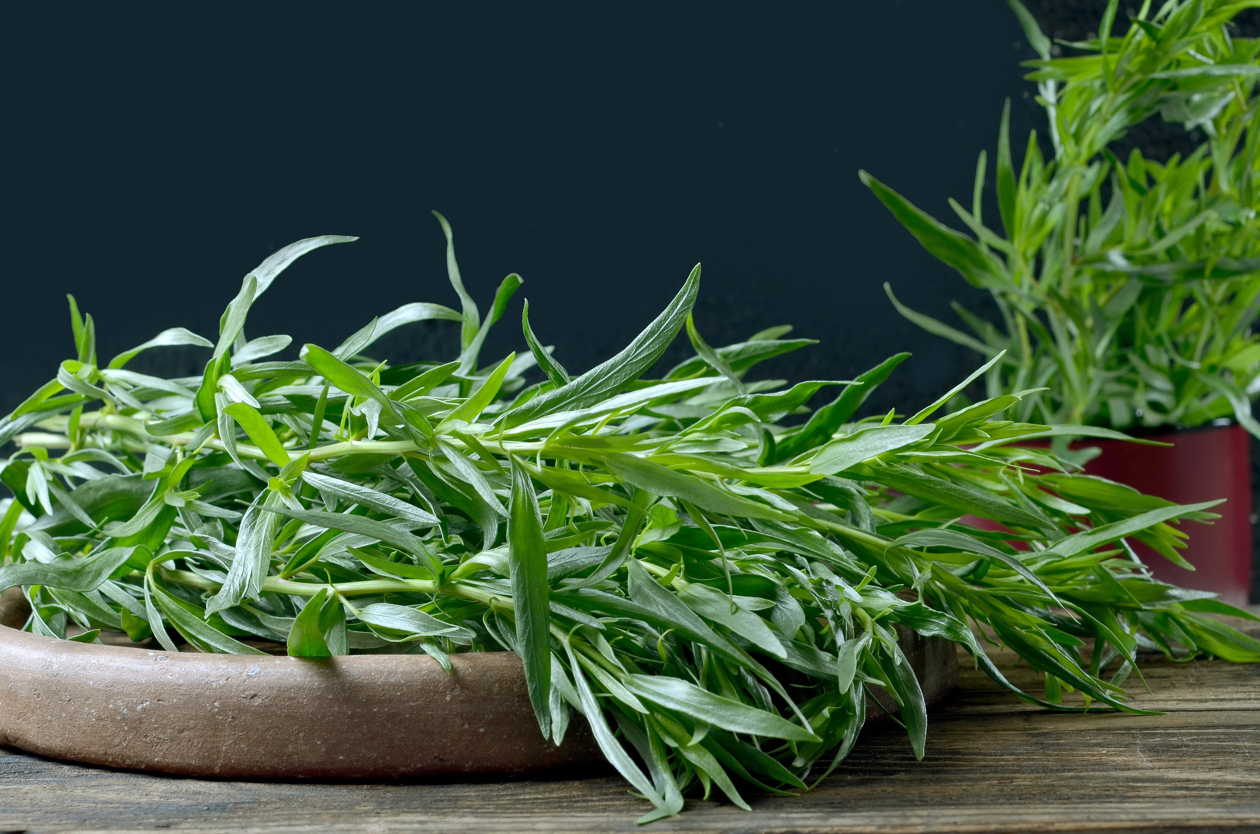 100 TARRAGON - Kitchen / Common / Dragons Wort - Artemisia Dracunculus Flower Culinary Herb Seeds - Image 5