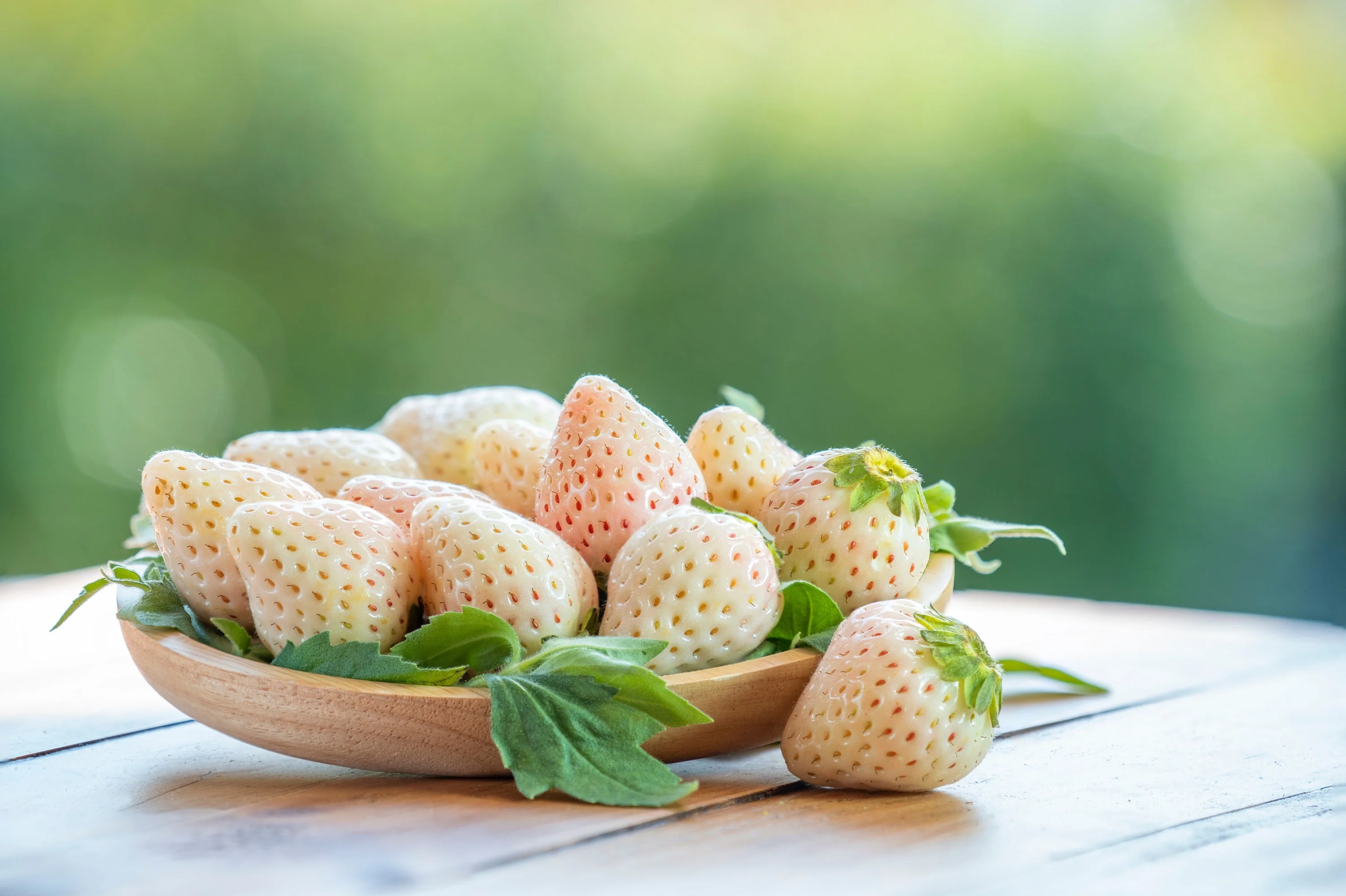 100 WHITE SOUL STRAWBERRY Fragaria Vesca Fruit Flower Berry Seeds - Image 5