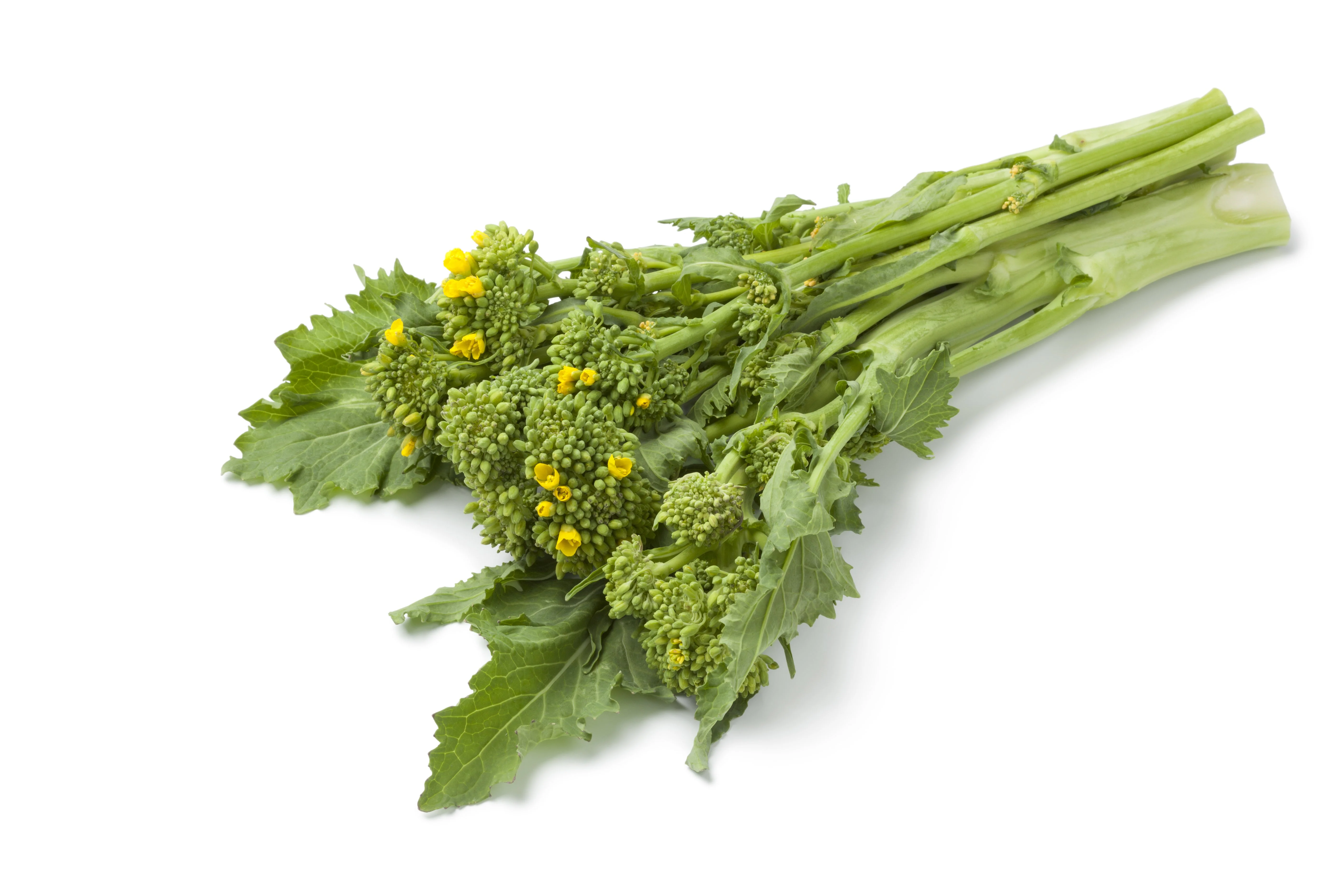 1000 EARLY Fall RAPINI BROCCOLI (Broccoli Raab / Broccoli Rabe / Brocoletti / Cima di Rapa) Brassica Ruvo Vegetable Seeds - Image 6