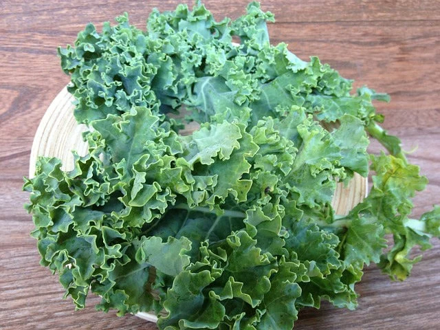1000 HANOVER SALAD Spring KALE Smooth Siberian Brassica Napus Vegetable Seeds - Image 7