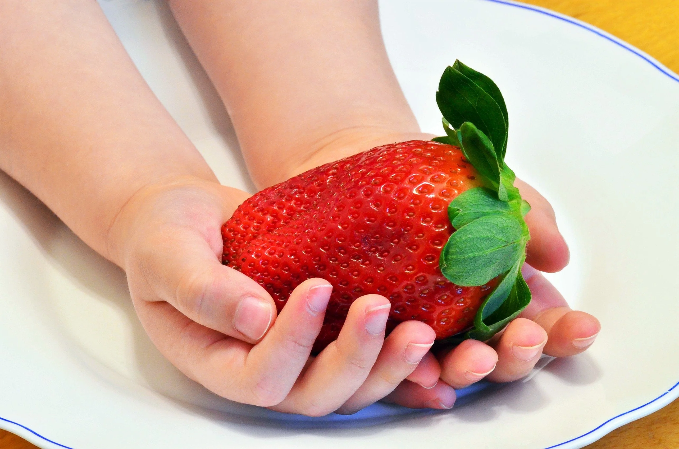 15 GIANT STRAWBERRY Fragaria spp June Bearing Huge Red Berry Fruit White Flower Seeds - Image 4