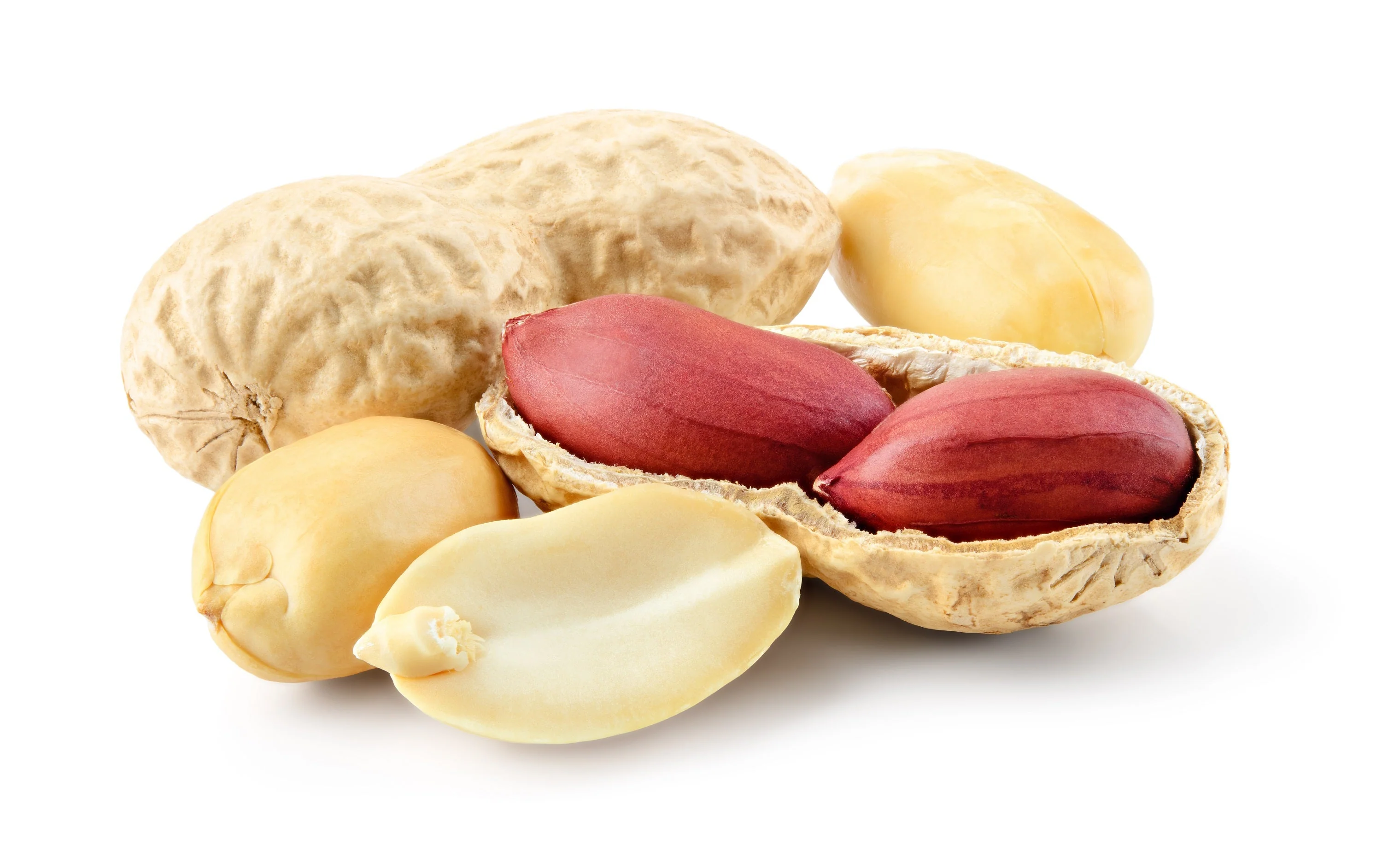 15 Seeds TENNESSEE RED PEANUT Valencia Arachis Hypogaea Perennial Nut Plant - Image 2