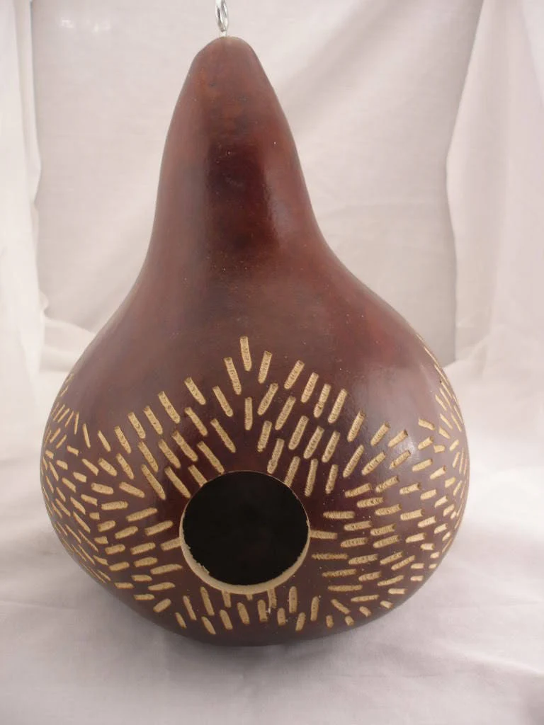 20 BIRDHOUSE GOURD (Hard Shelled Gourd / Calabash) Lagenaria Siceraria Vine Seeds - Image 3