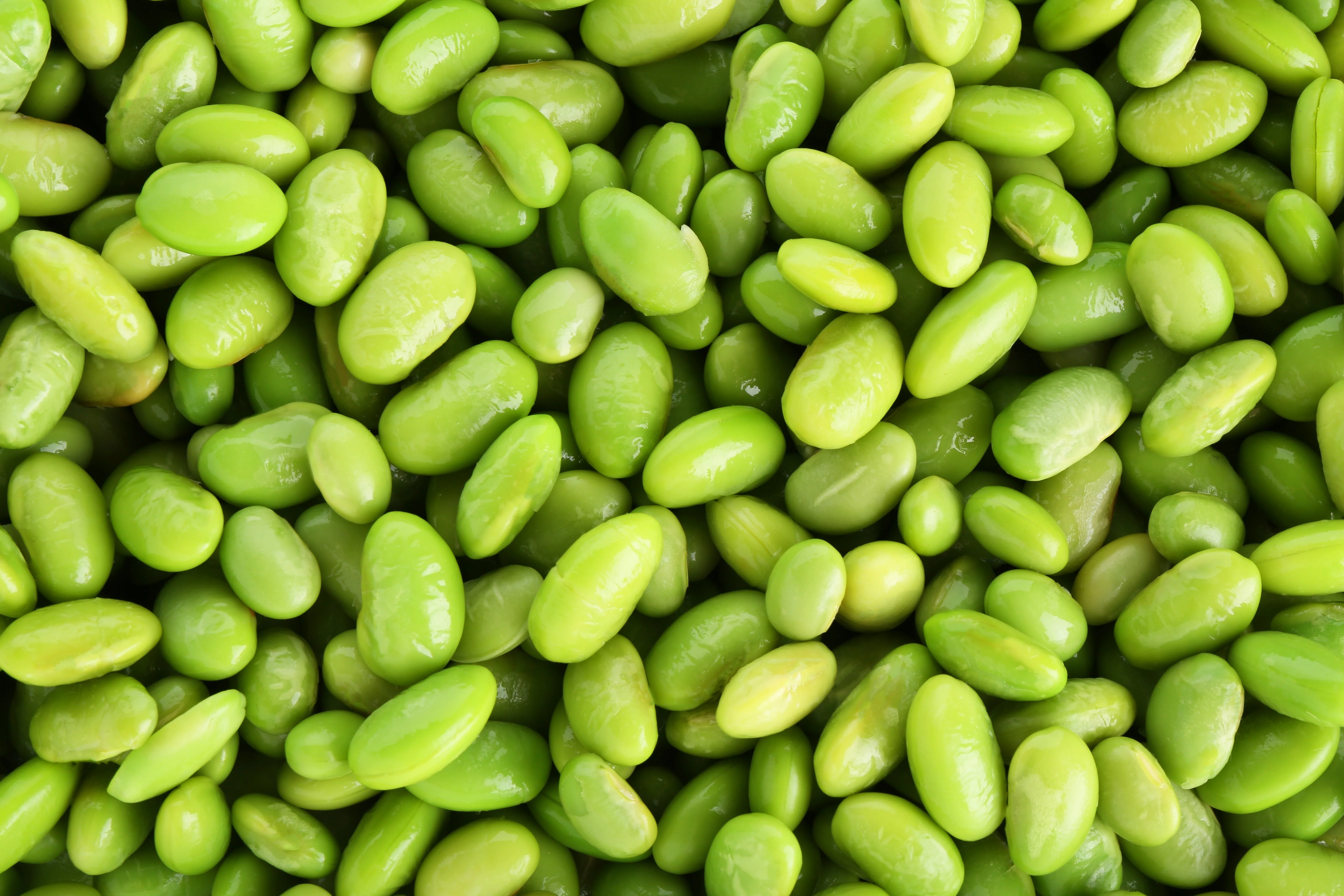 20 Edamame Green ENVY SOYBEAN Glycine Max Soy Bean Vegetable Seeds - Image 2