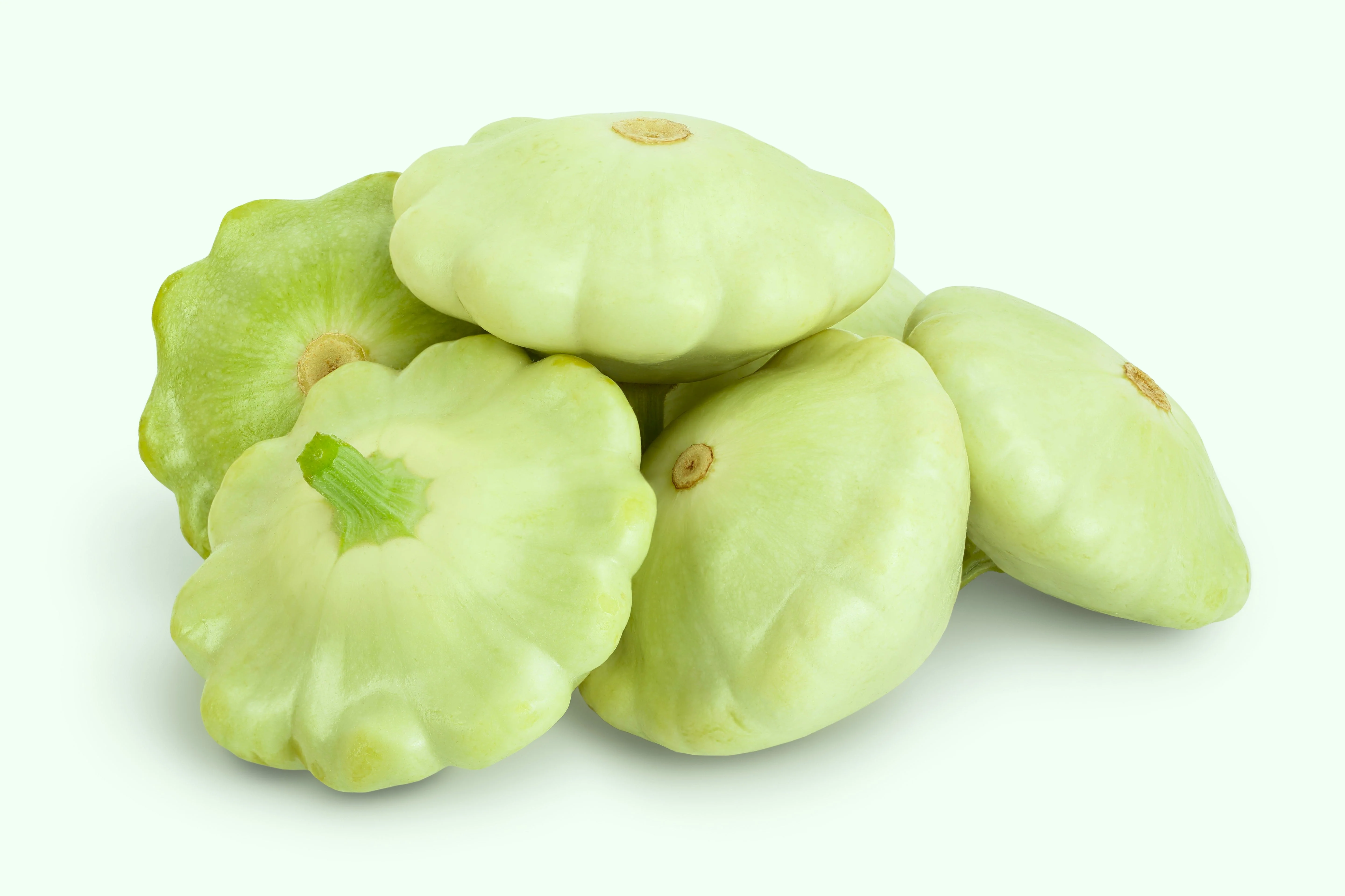 20 Green Tint BUSH SCALLOP SQUASH (Patty Pan / Paty Pan / Squanter Squash) Summer Cucurbita Pepo Vegetable Seeds - Image 3