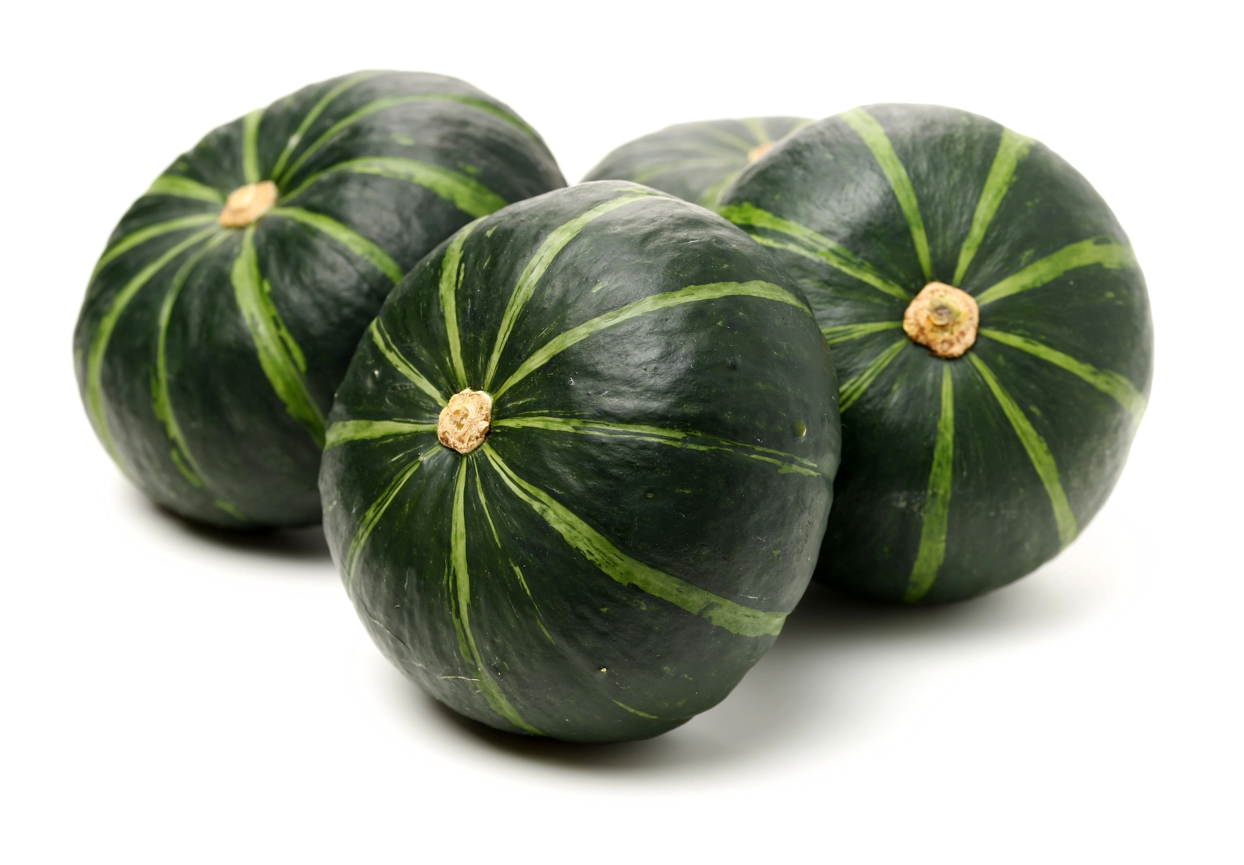 20 MINI MIX PUMPKIN Miniature Cucurbita Pepo White Green Orange Striped Vegetable Seeds - Image 13