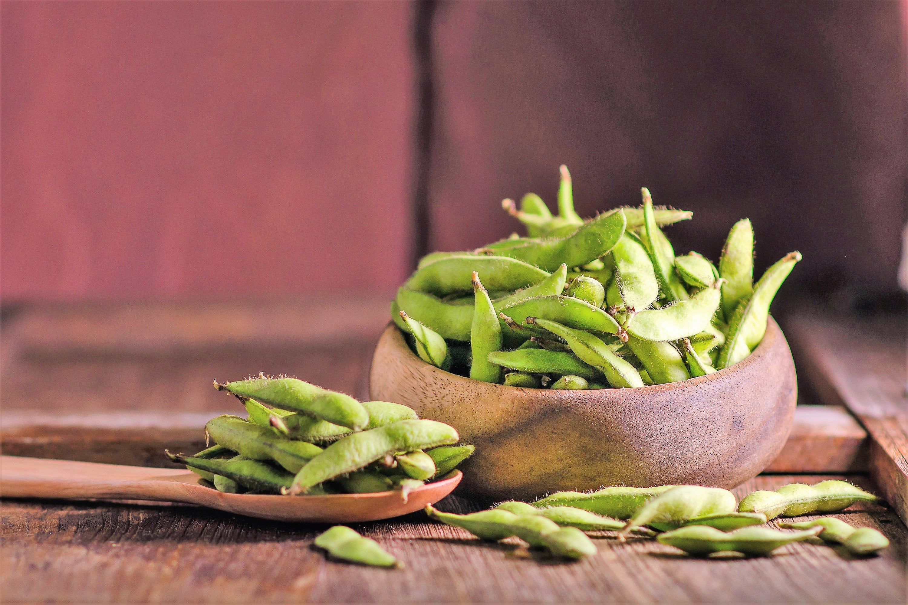 20 Organic MIDORI GIANT SOYBEAN Edamame Glycine Max Green Bean Legume Vegetable Seeds - Image 3