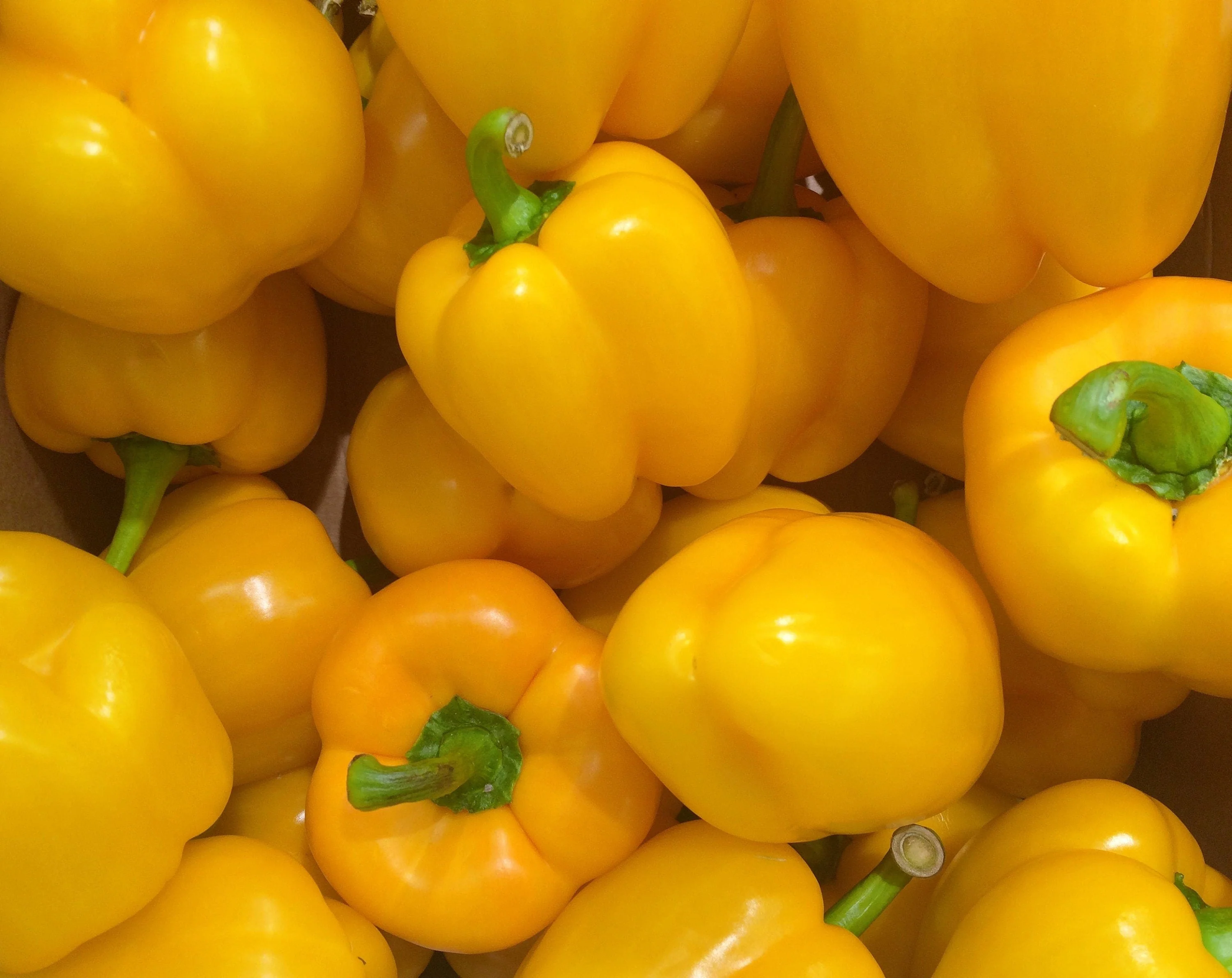20 Organic Yellow MINI BELL PEPPER Sweet Mild Miniature Capsicum Annuum Vegetable Seeds - Image 4