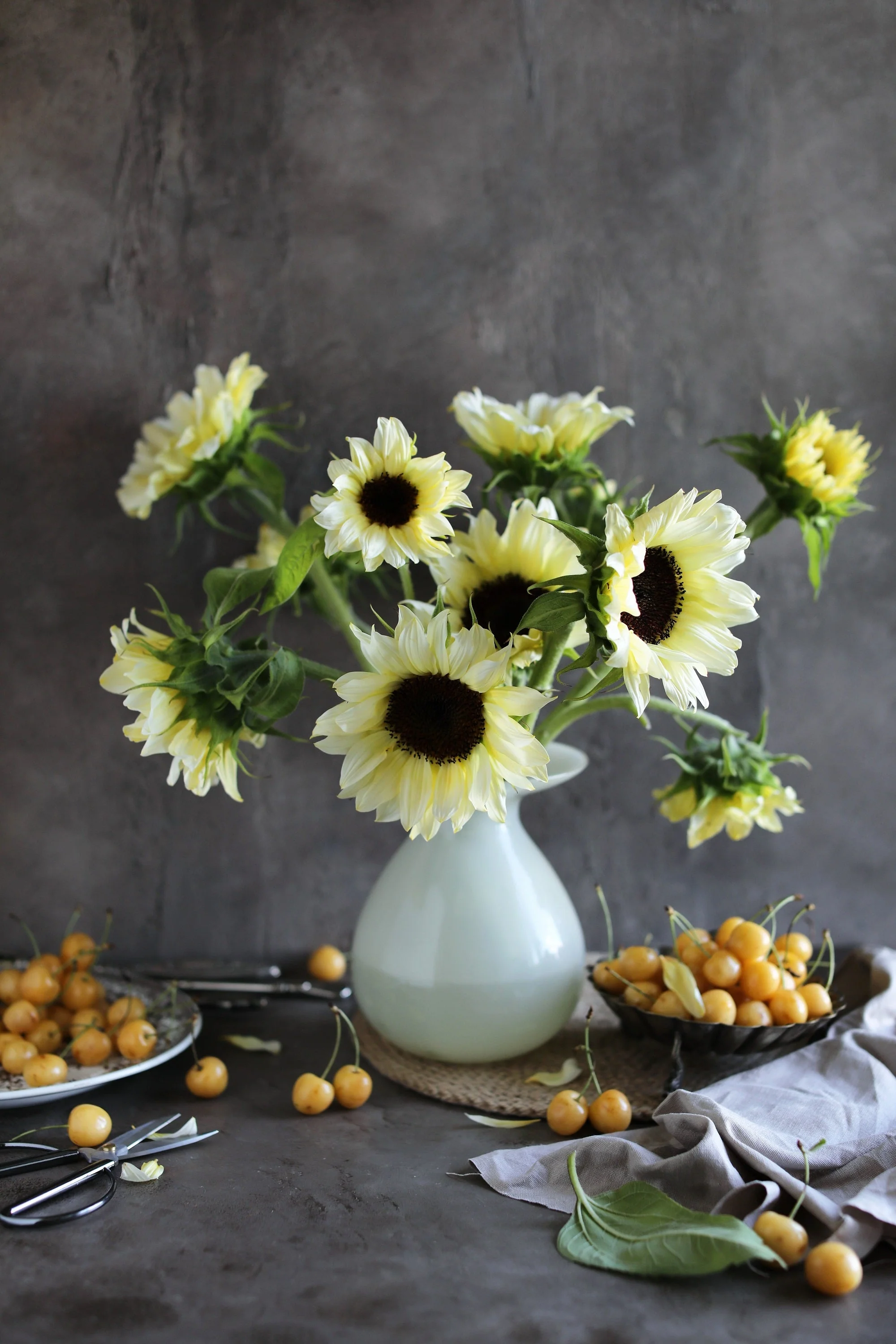 25 ITALIAN WHITE SUNFLOWER Helianthus Debilis Flower Seeds - Image 5