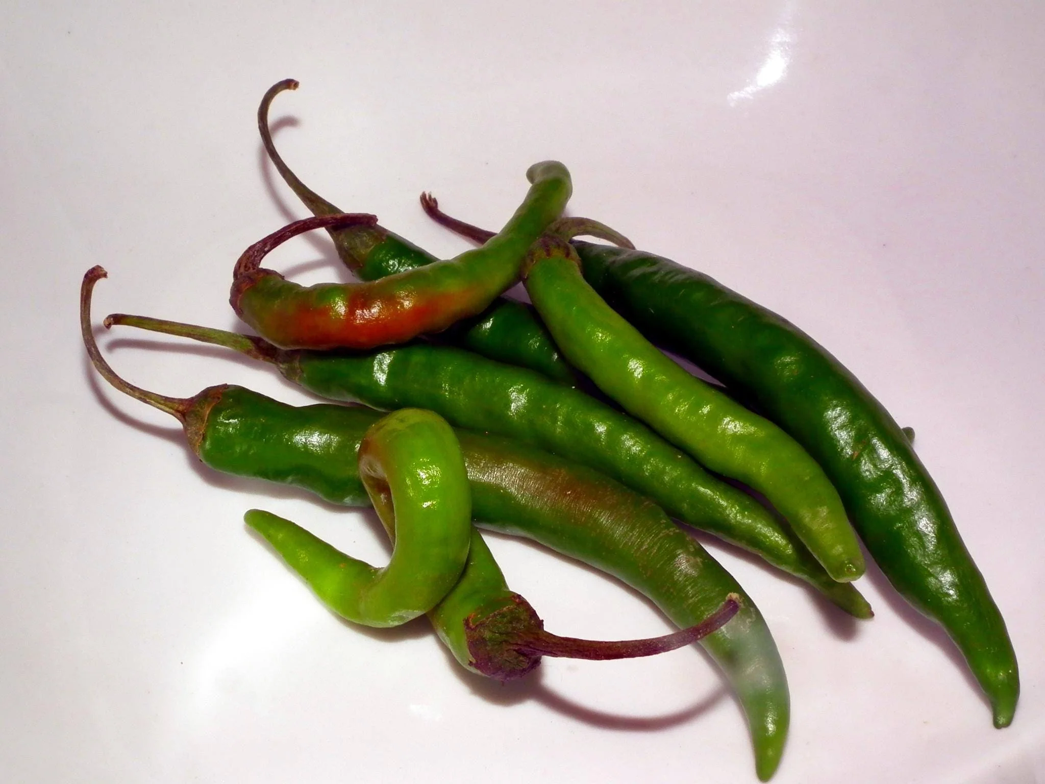 25 Organic KOREAN Dark GREEN PEPPER Lady Han Hot Chili Long Red Capsicum Annuum Seeds - Image 7