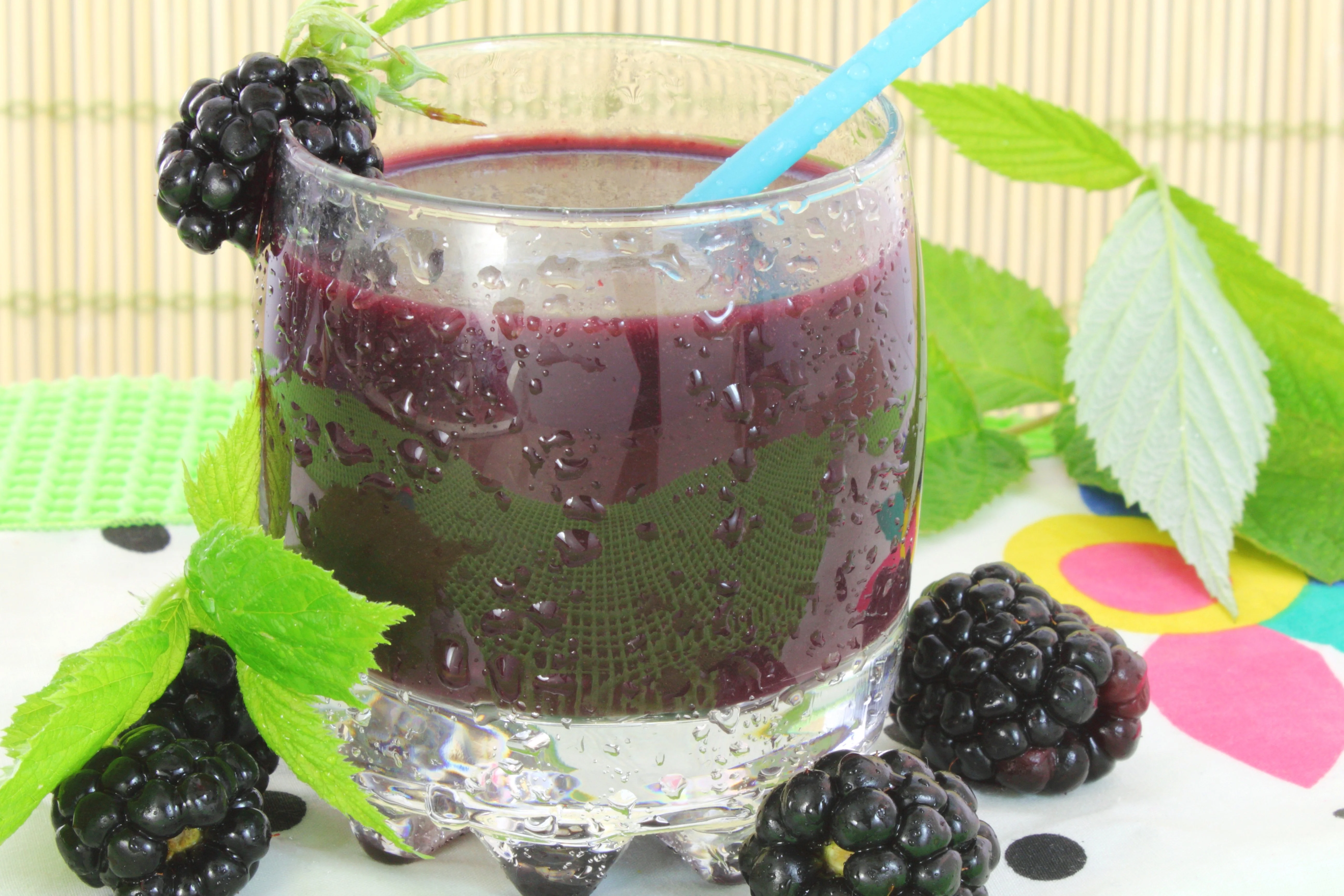 25 TRAILING BLACKBERRY Pacific Rubus Ursinus Vining Shrub Fruit Berry Seeds - Image 10