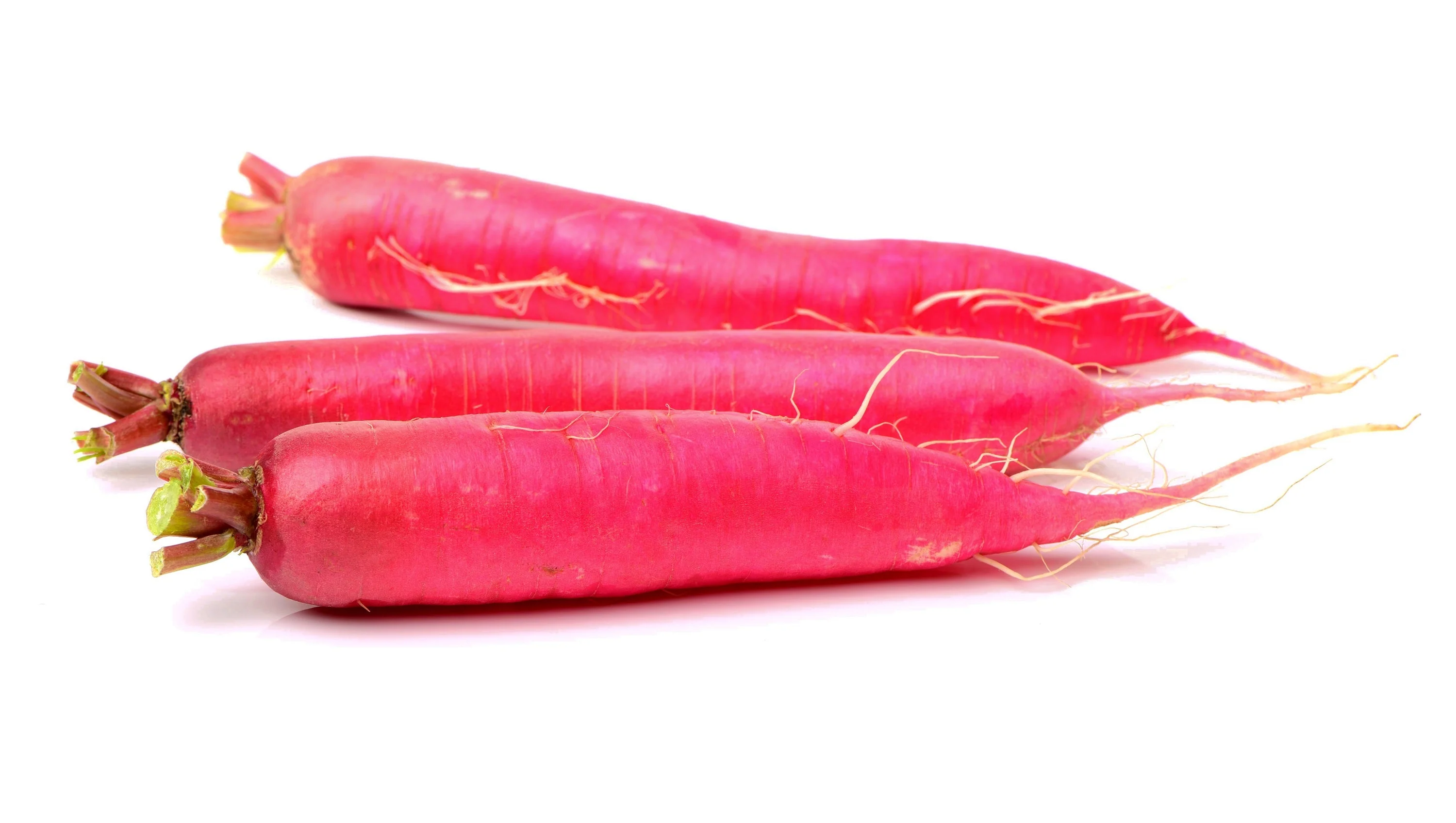 250 RED Arrow SPROUTING RADISH MiniGreen Daikon Raphanus Sativus Vegetable Seeds - Image 7