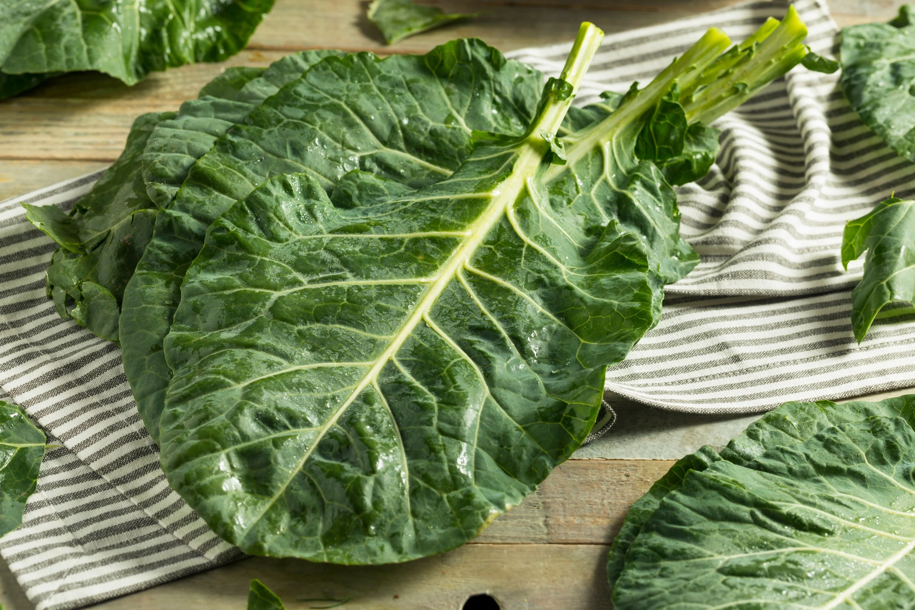 250 VATES COLLARDS Collard Greens Brassica Oleracea Acephala Vegetable Seeds - Image 2