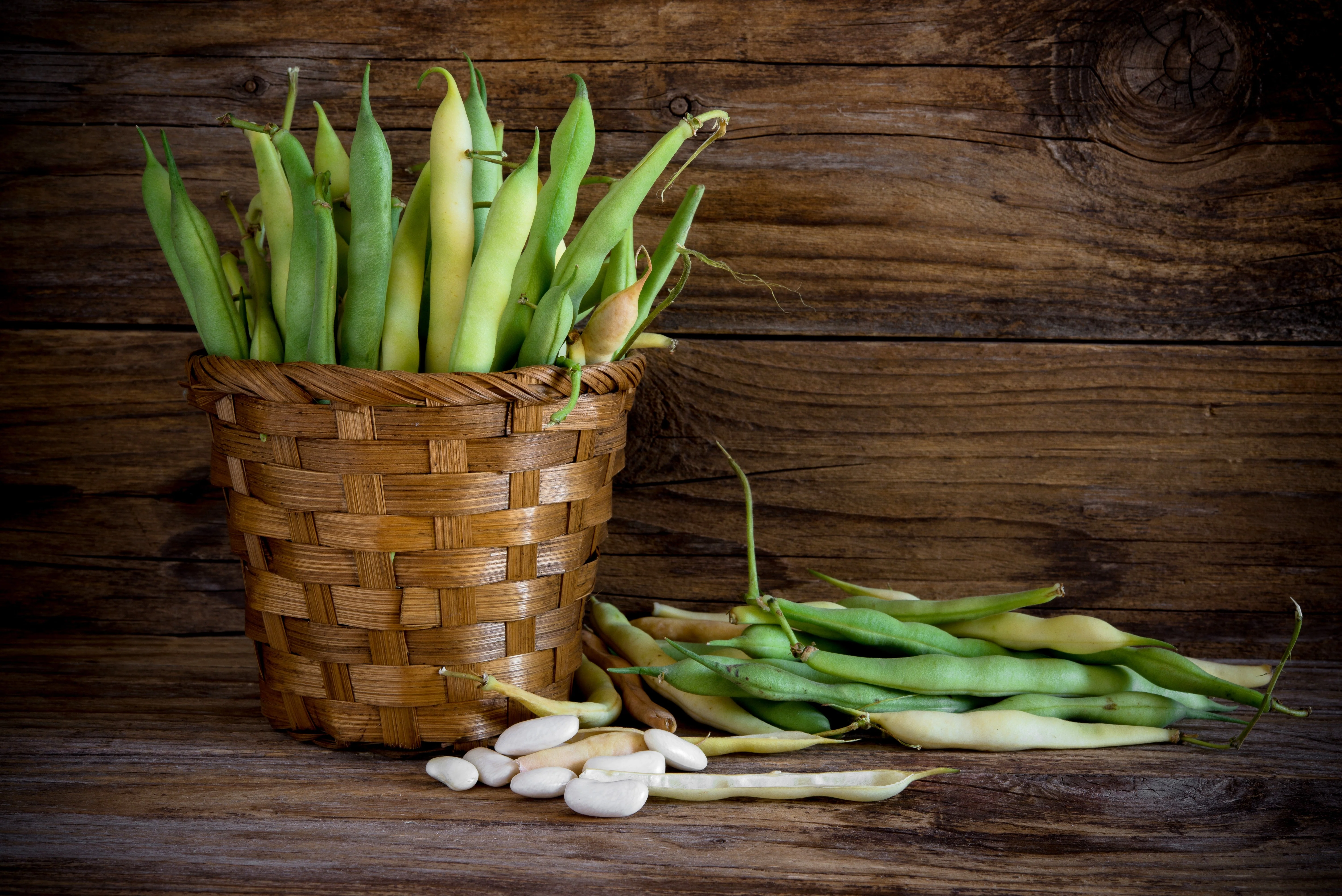 30 CANNELLINI BEAN Seeds White Italian Kidney Phaseolus Vulgaris Vegetable Seeds - Image 4