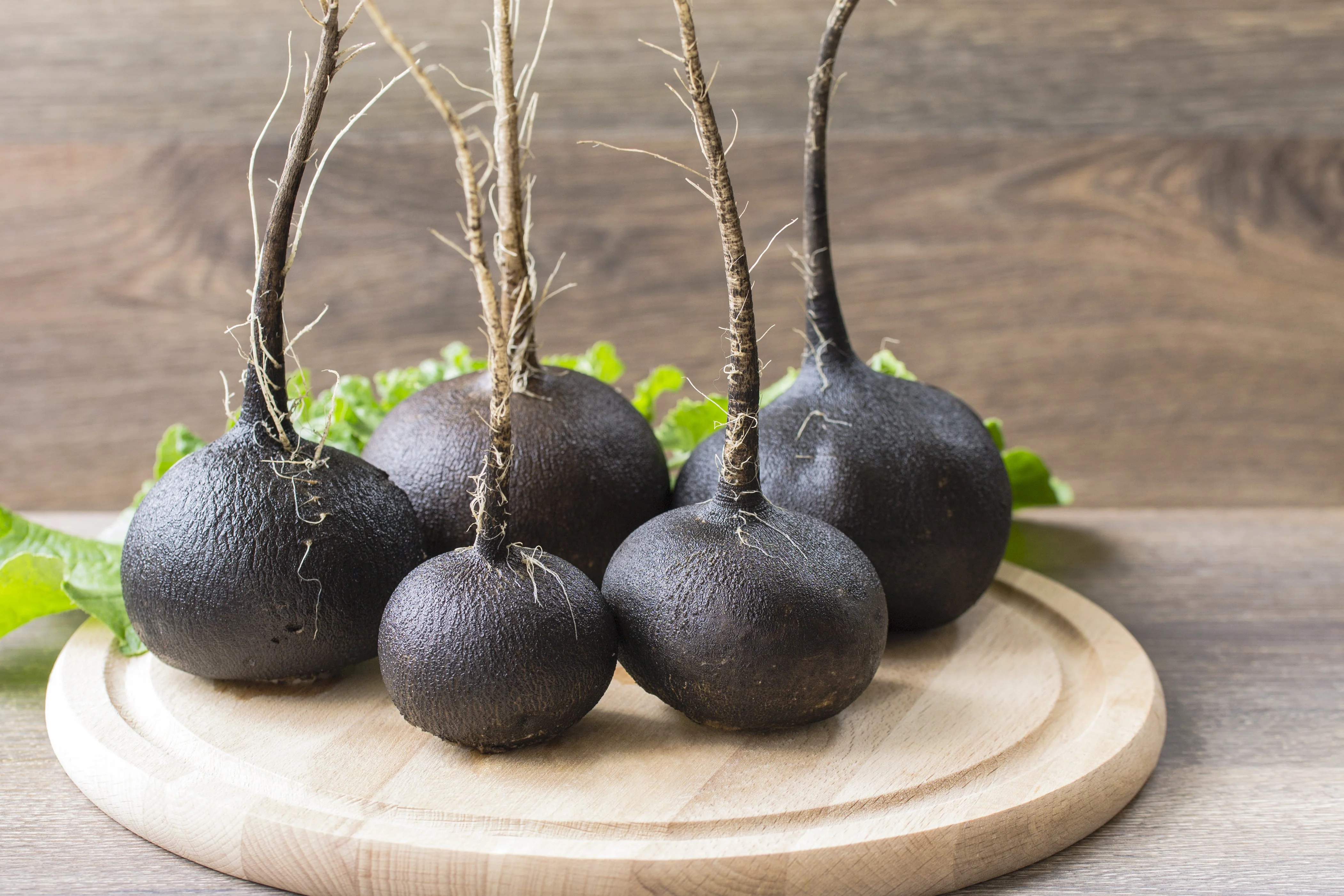300 BLACK SPANISH ROUND Hot Spicy European Raphanus Sativus Root Vegetable Seeds - Image 8