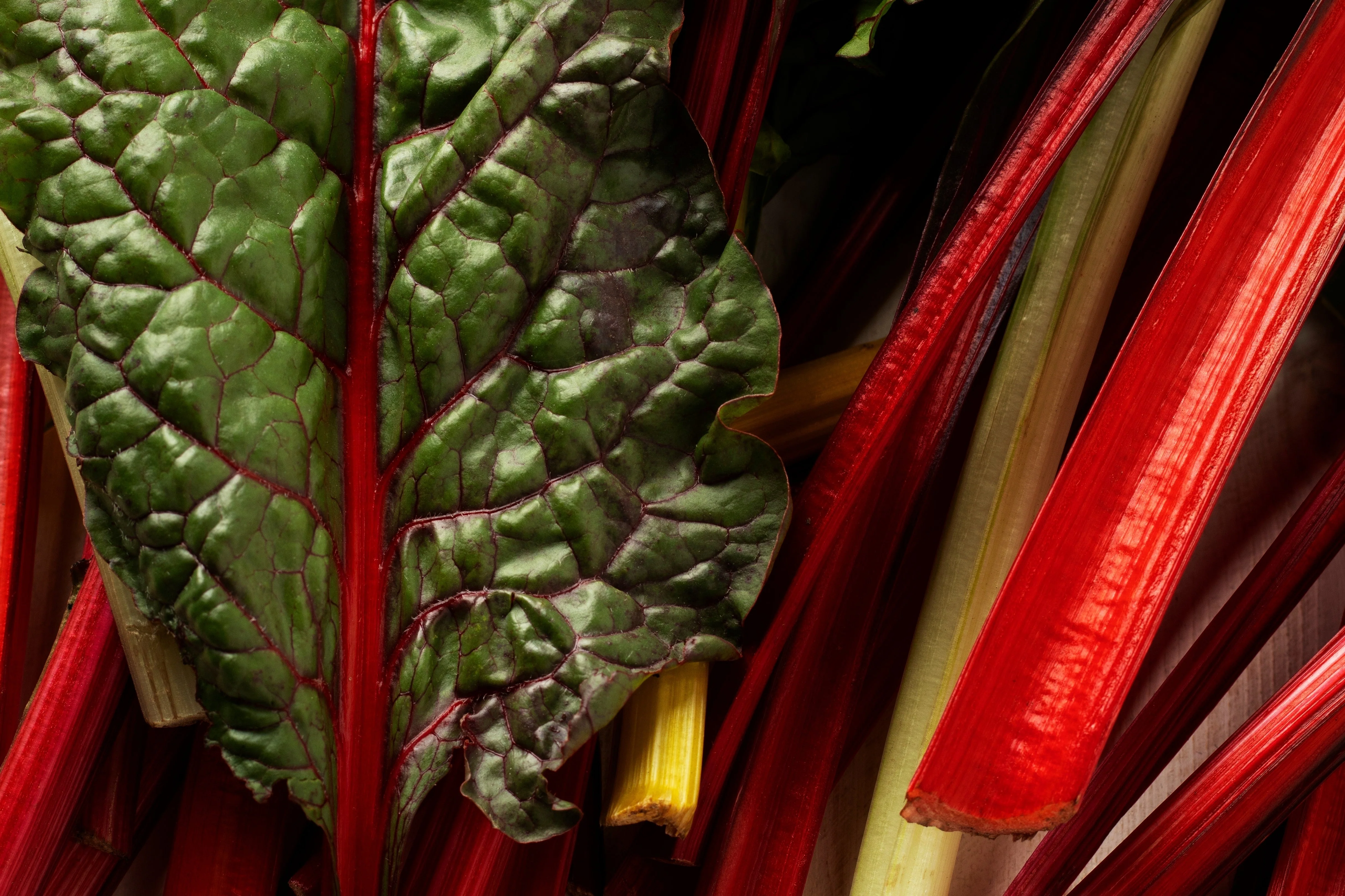 300 RHUBARB RED SWISS CHARD Perpetual Spinach Beta Vulgaris Vegetable Seeds - Image 6