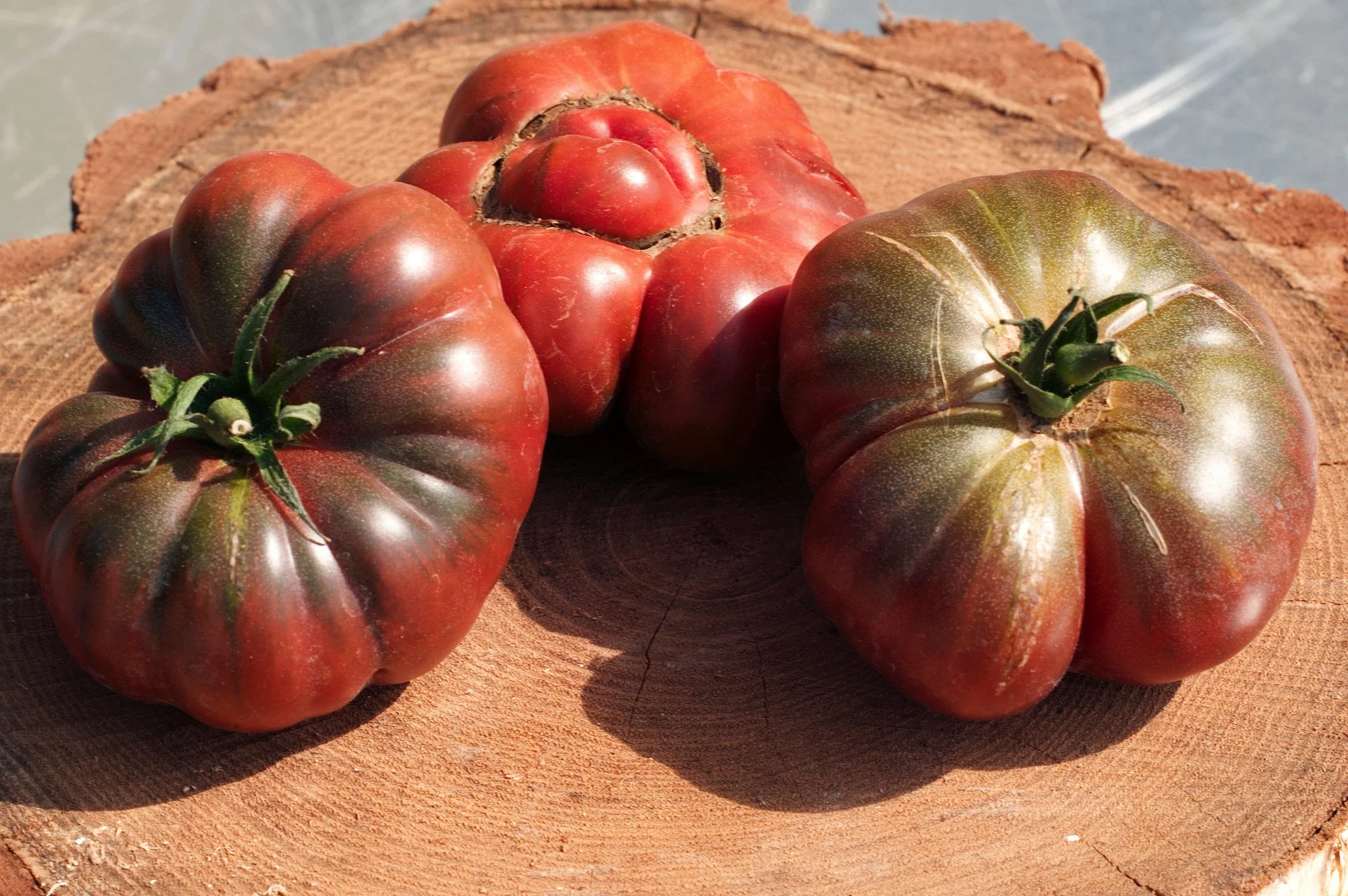 40 PURPLE CALABASH TOMATO Solanum Lycopersicum Indeterminate Heirloom Beefsteak Fruit Vegetable Seeds - Image 4