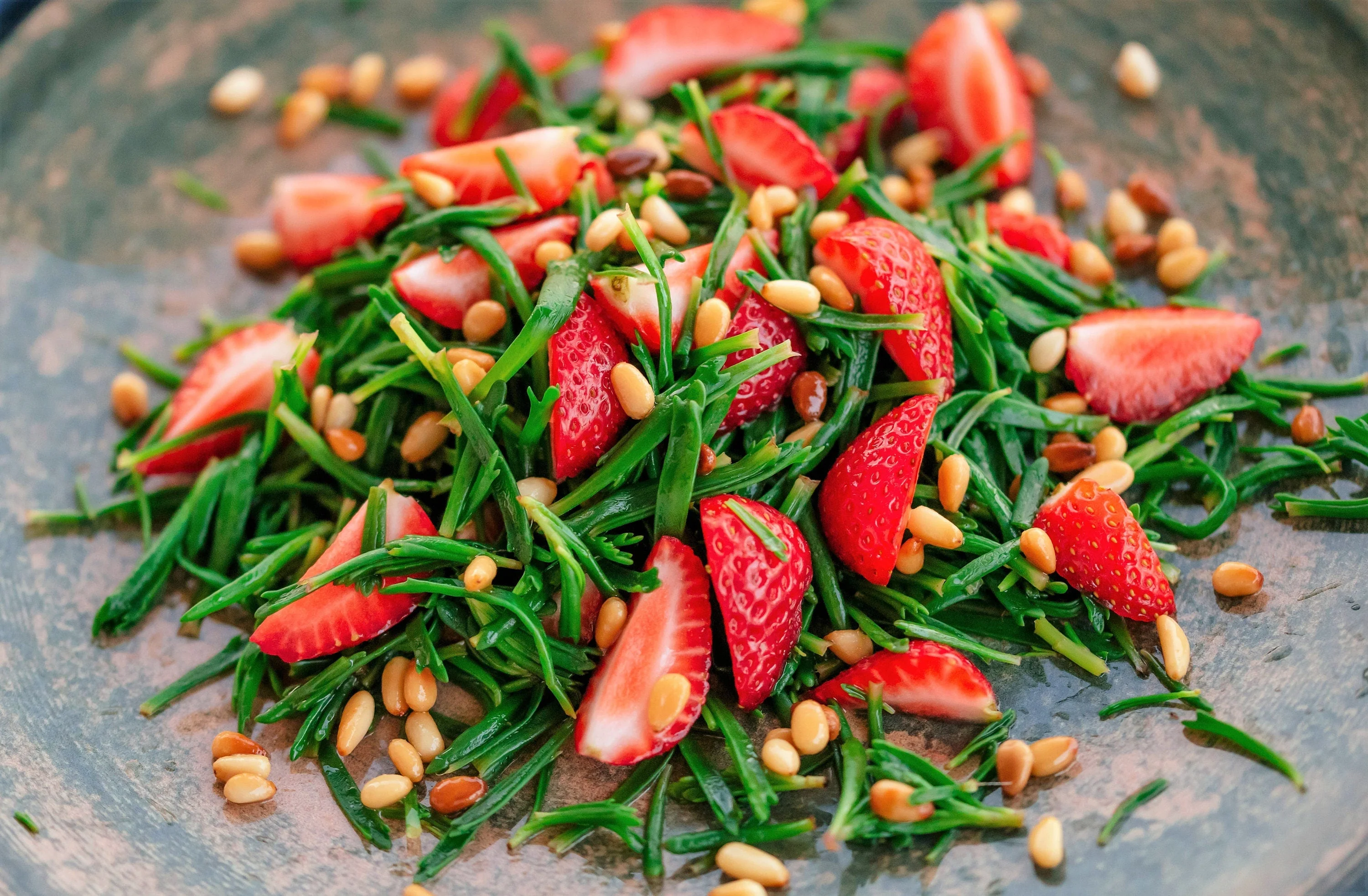 40 SEA FENNEL Rock Samphire Crithmum Maritimum Fragrant Herb Edible Vegetable Yellow Flower Seeds - Image 9