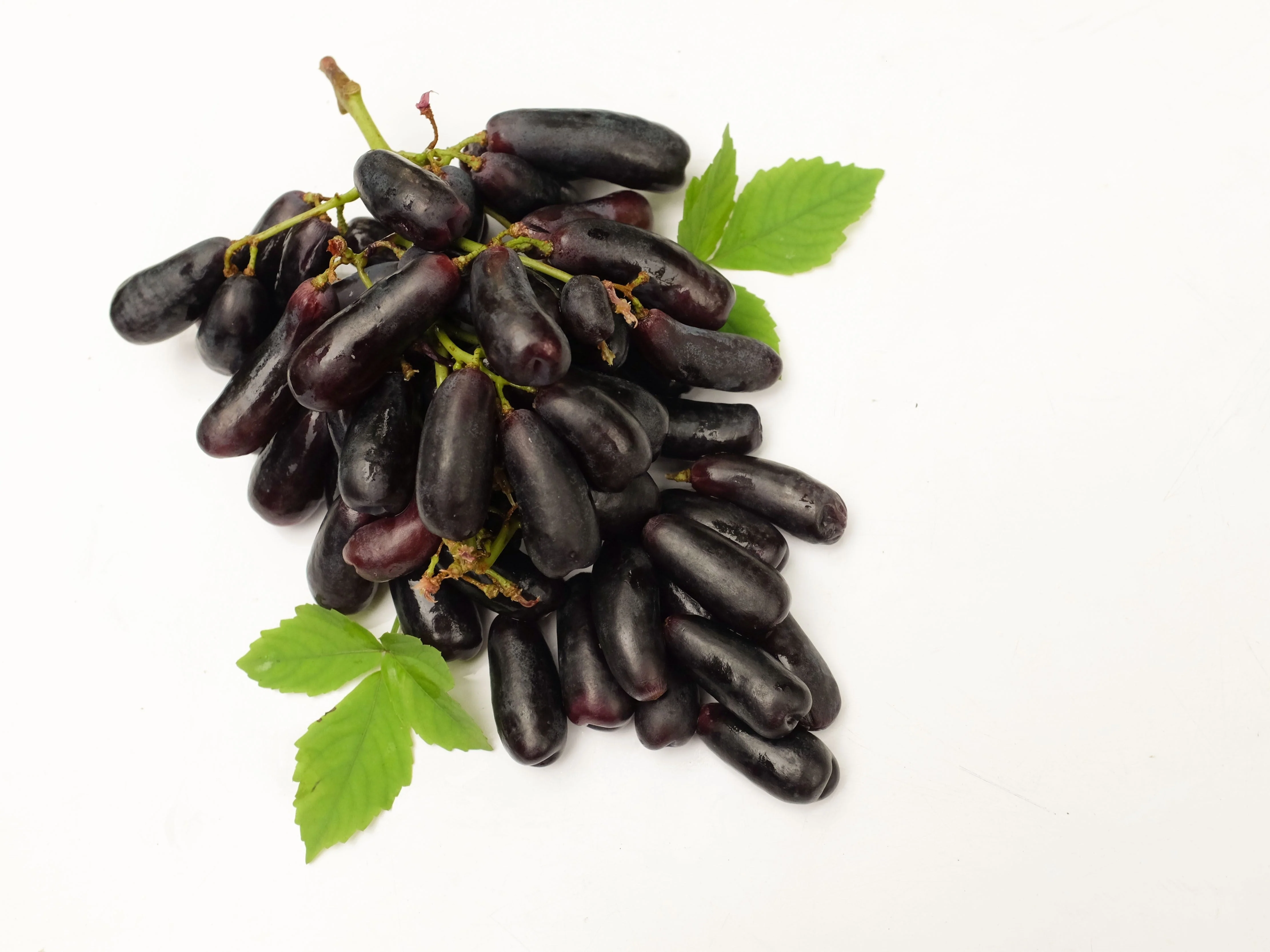 5 BLACK FINGER GRAPE Vitis Viniferia Fruit Vine Seeds - Image 8