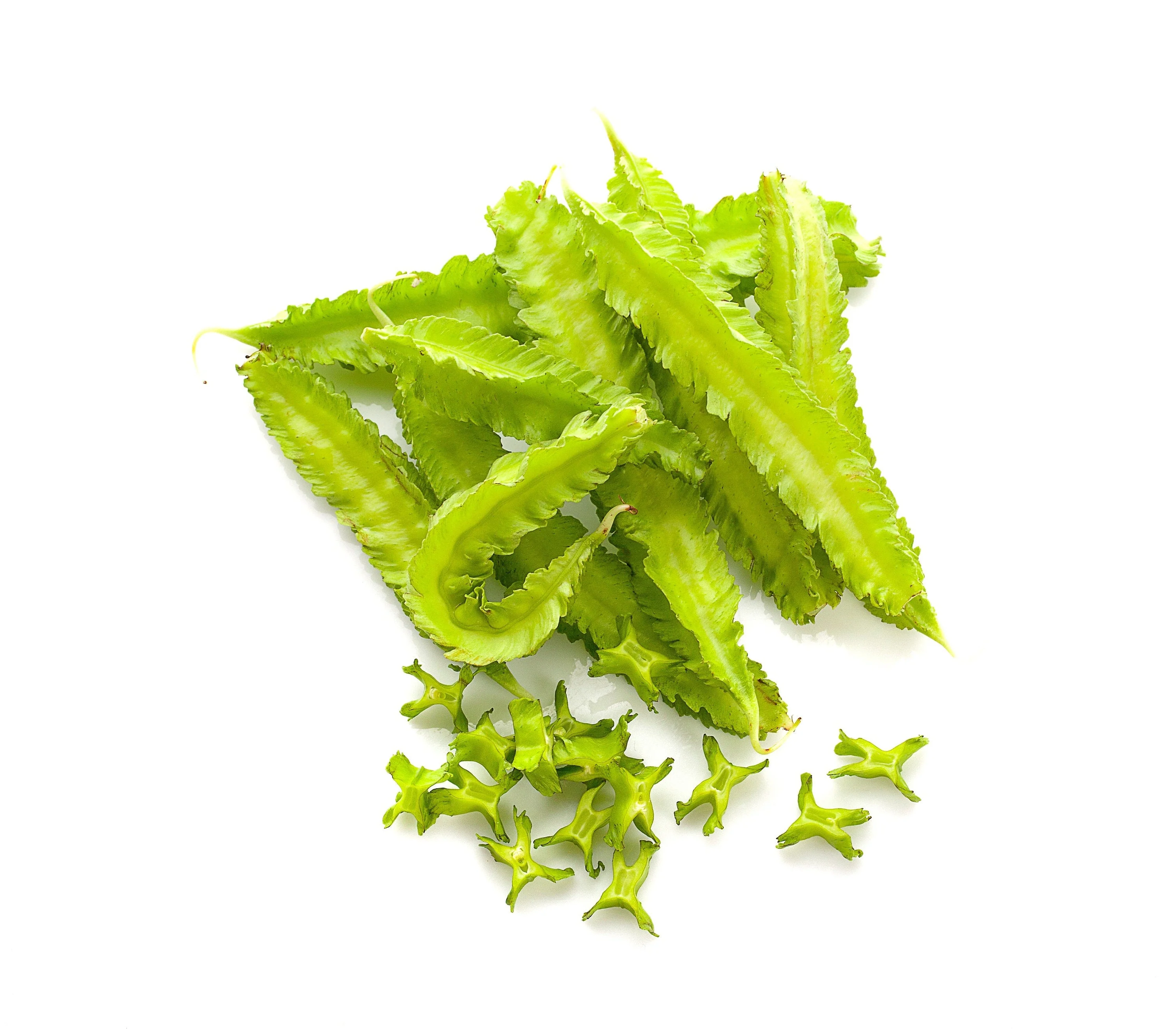 50 ASPARAGUS PEA Winged Pea Lotus Tetragonolobus Red Flower Legume Vegetable Seeds - Image 3