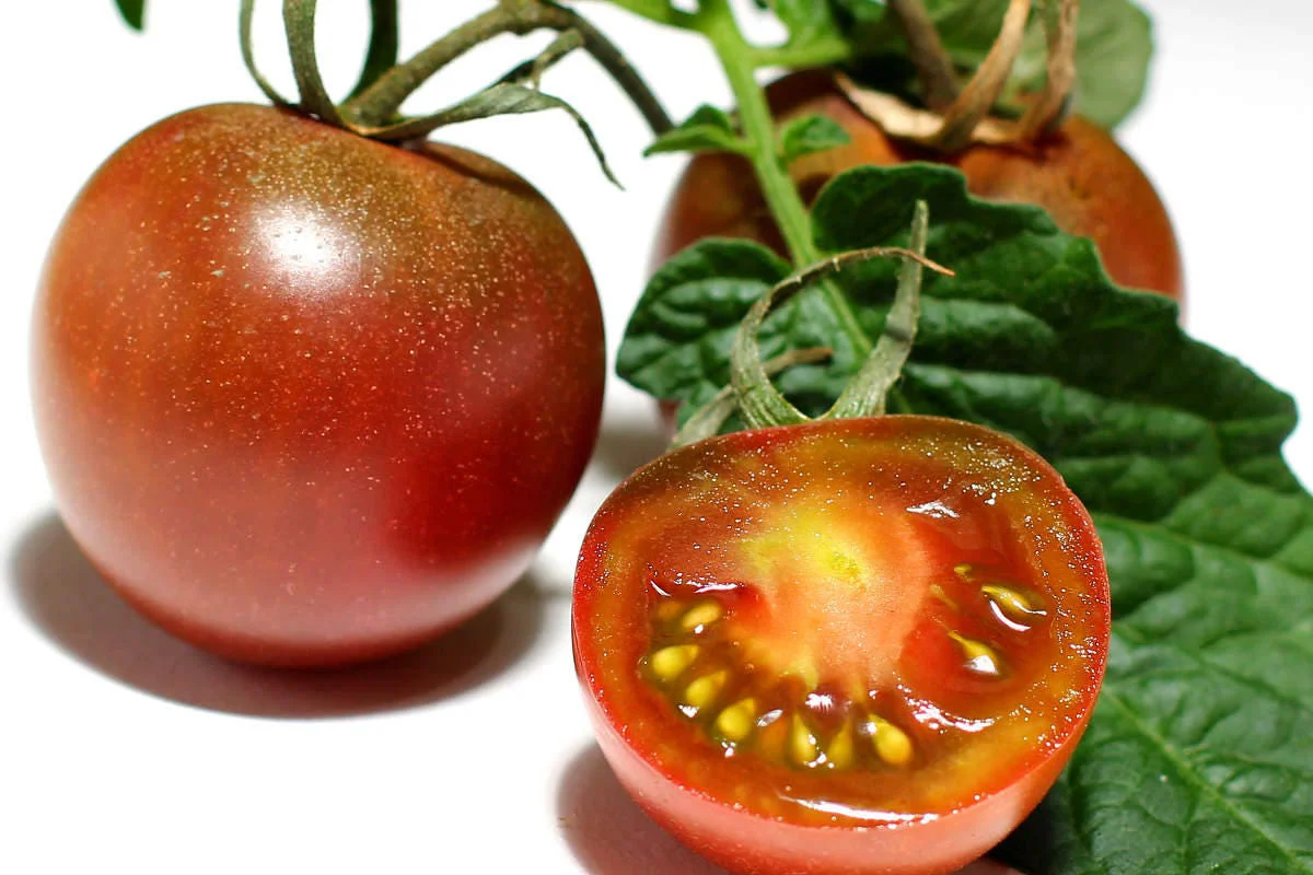 50 BLACK CHERRY TOMATO Black Skin Sweet Round Lycopersicon Fruit Vegetable Seeds - Image 7