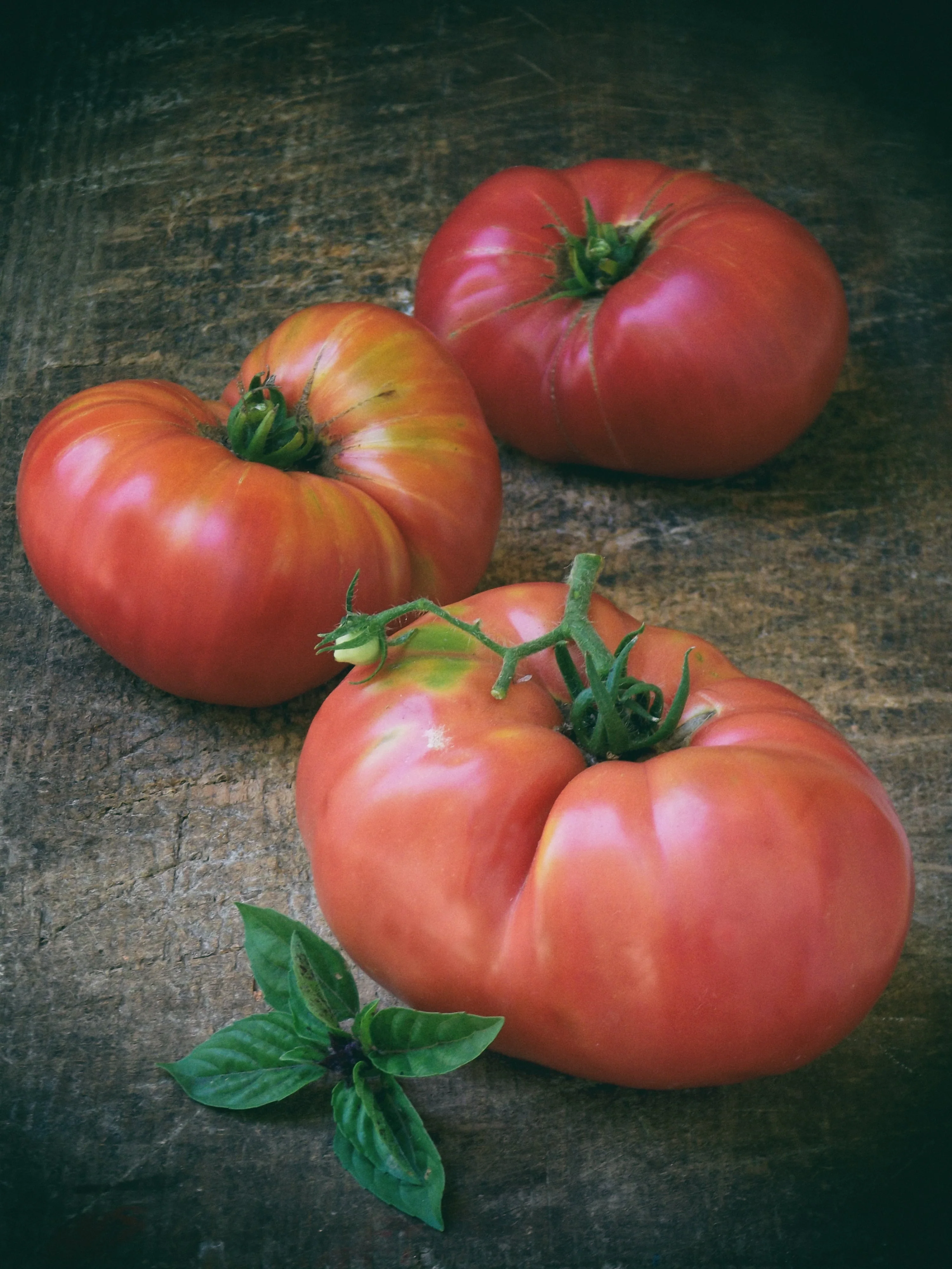 50 Giant BELGIAN PINK TOMATO Huge Pink Skin Lycopersicon Fruit Vegetable Seeds - Image 5