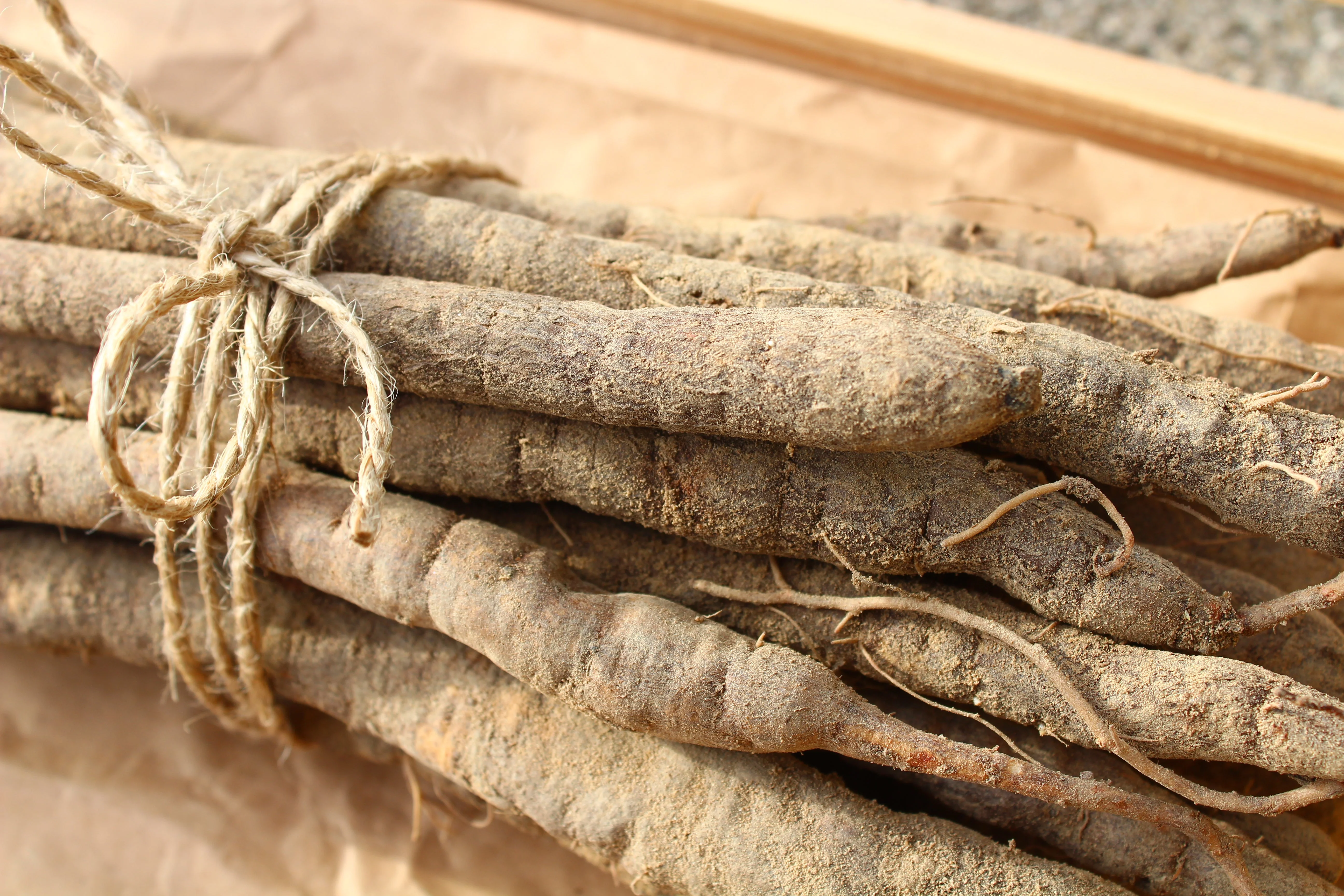 50 MAMMOTH Sandwich Island SALSIFY Tragopogon White Root Vegetable Oyster Flower Seeds - Image 2