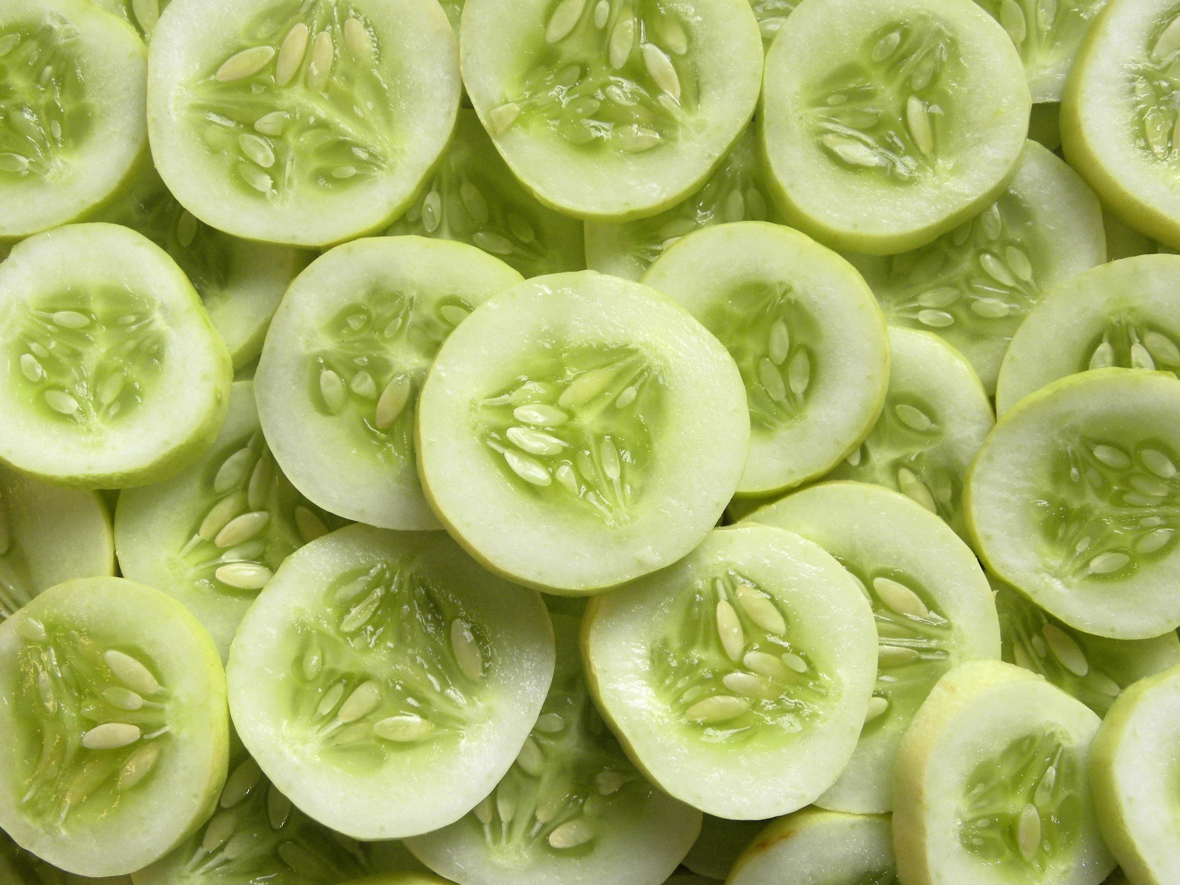 50 WHITE WONDER CUCUMBER Fruit Cucumis Sativus Seeds - Image 2