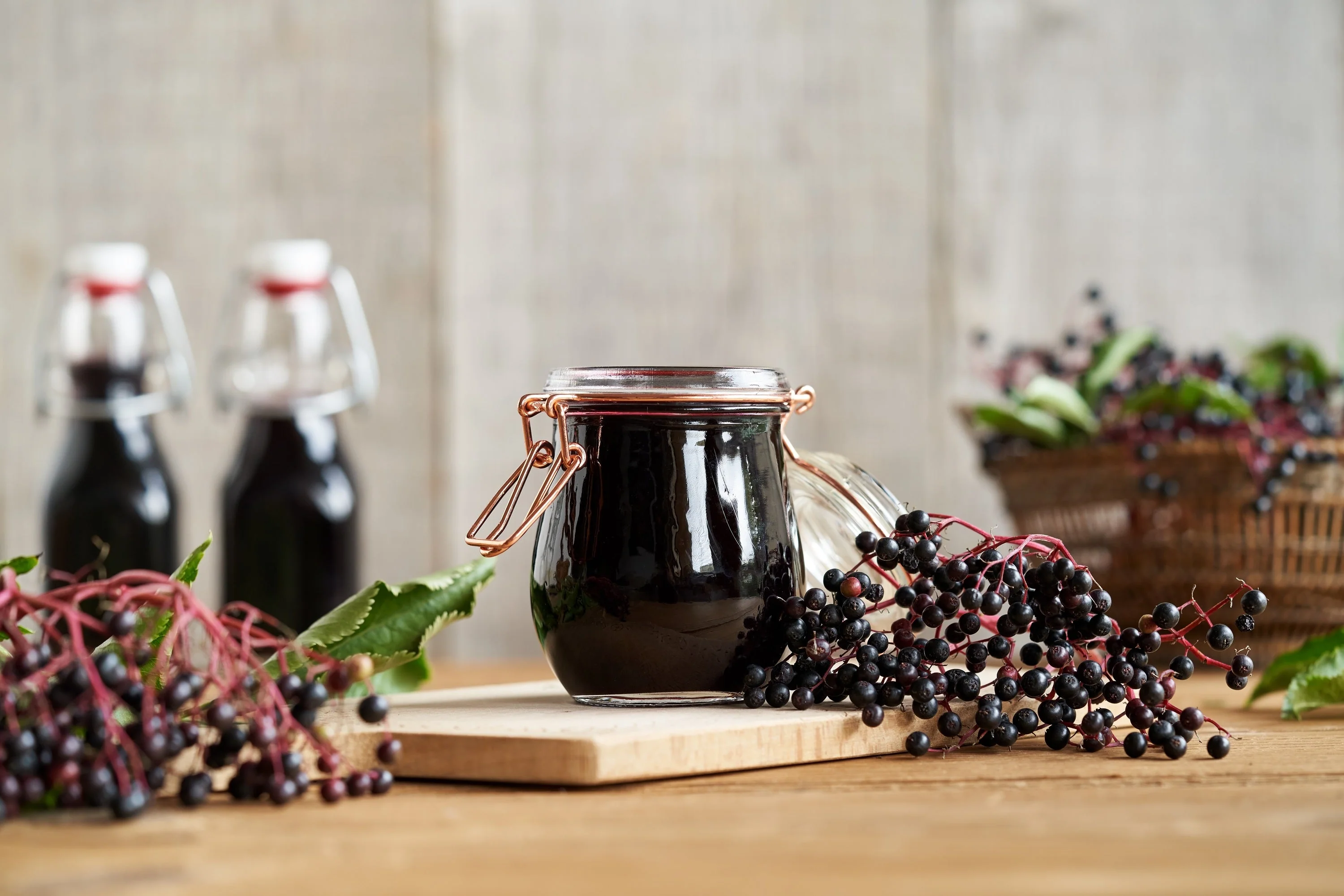 500 BULK American ELDERBERRY Fruit Bush Shrub Tree Sambucus Nigra Canadensis Seeds - Image 9