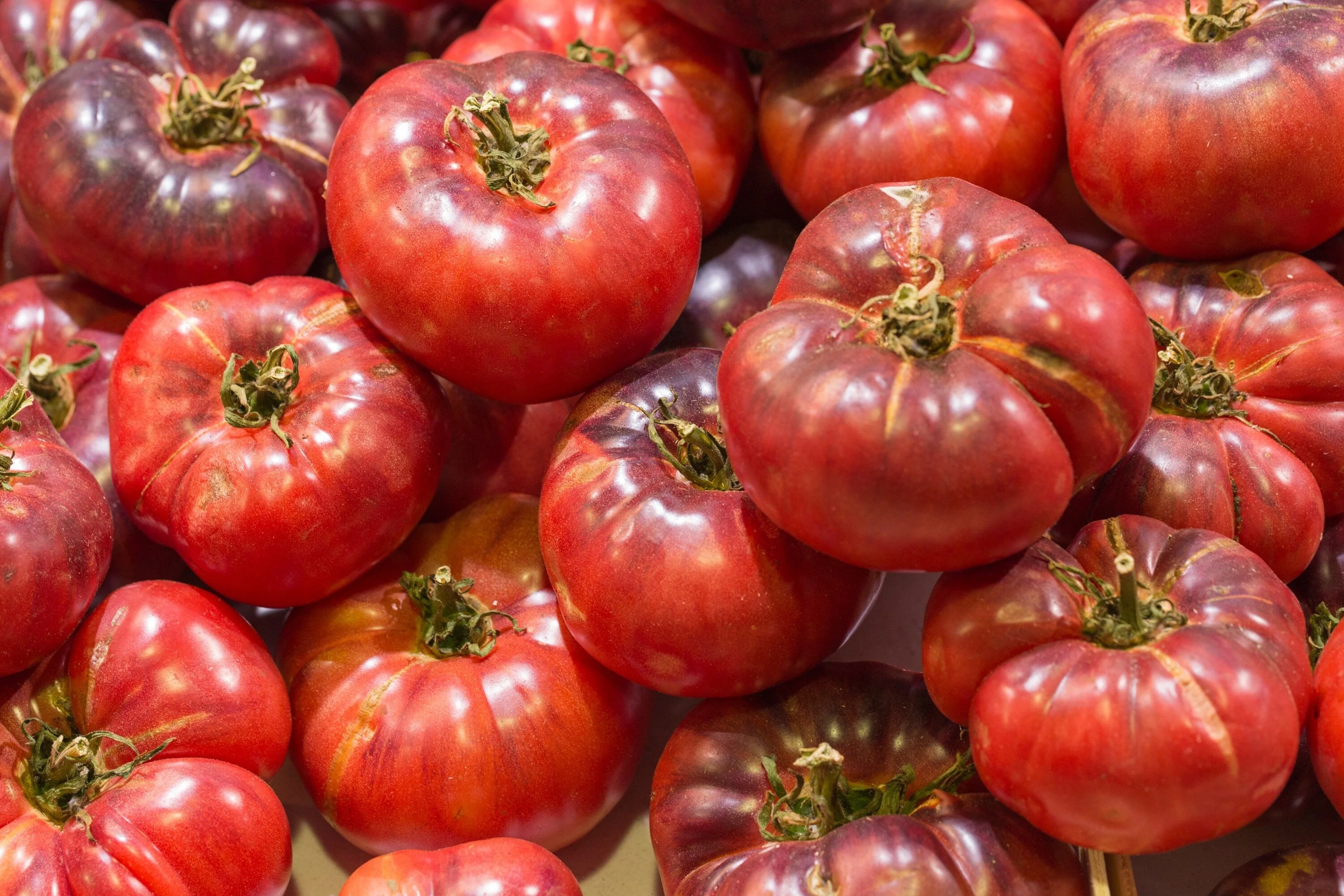 80 BLACK KRIM TOMATO Solanum Lycopersicum Indeterminate Heirloom Beefsteak Fruit Vegetable Seeds - Image 4