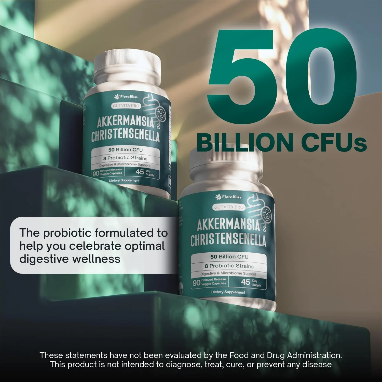 Christensenella Minuta and Akkermansia, Bifidobacterium longum, 8 Probiotic Strains, 50 Billion CFU with Cranberry Extract, Gut Health & Immune Support - Image 3