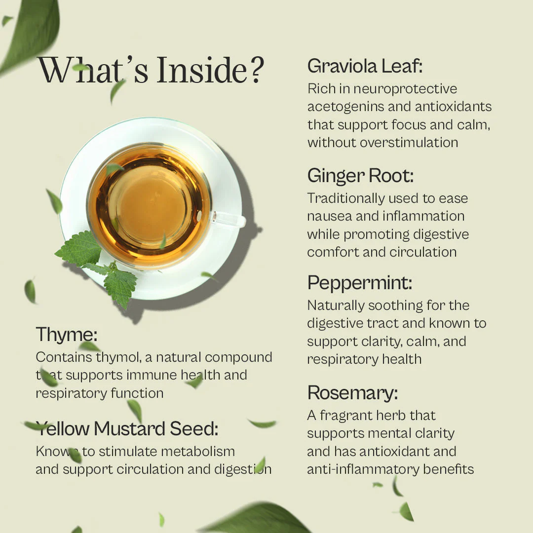 Focus Tea – Pure Graviola Blend - Image 2