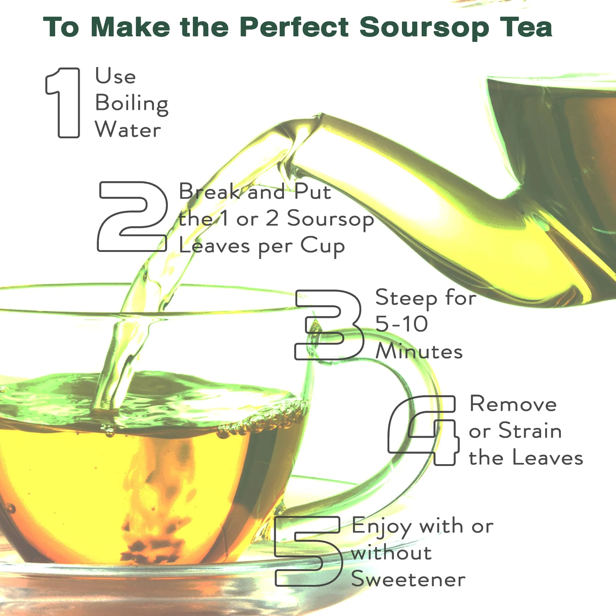 HerbLk Organic Soursop Tea - 100 Dried Graviola Leaves - Vegan & Non-GMO - Wildcrafted Ceylon Soursop Leaves - Organic, Gluten-Free Herbal Loose Leaf Tea - Image 3