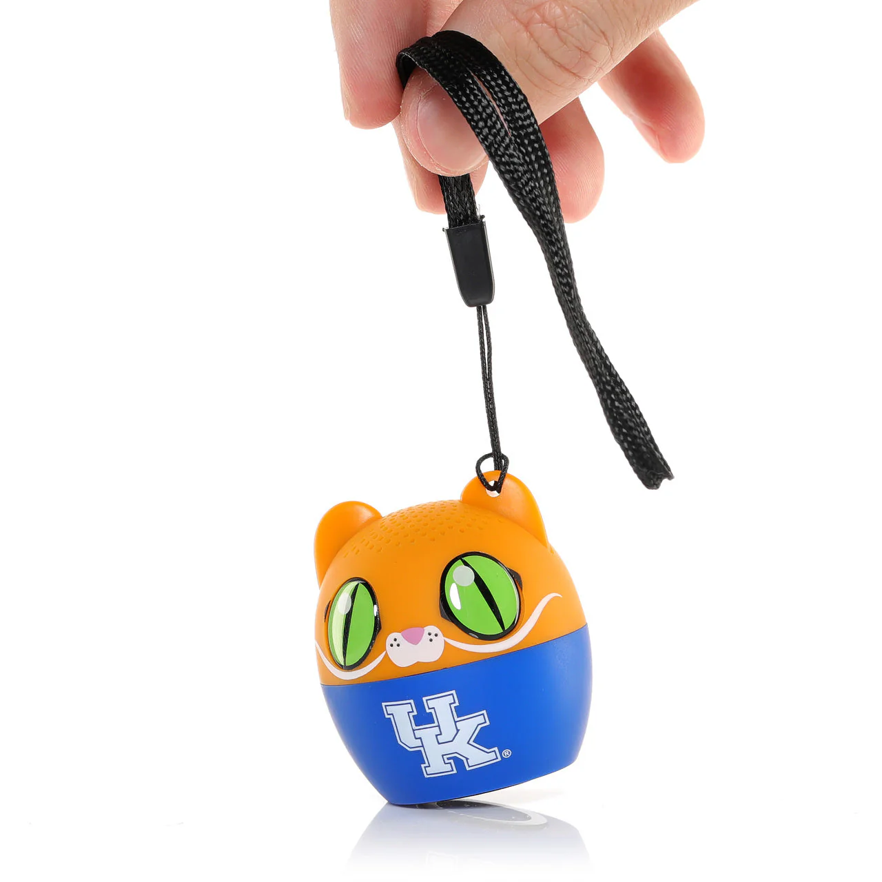 Kentucky Wildcats - Image 2