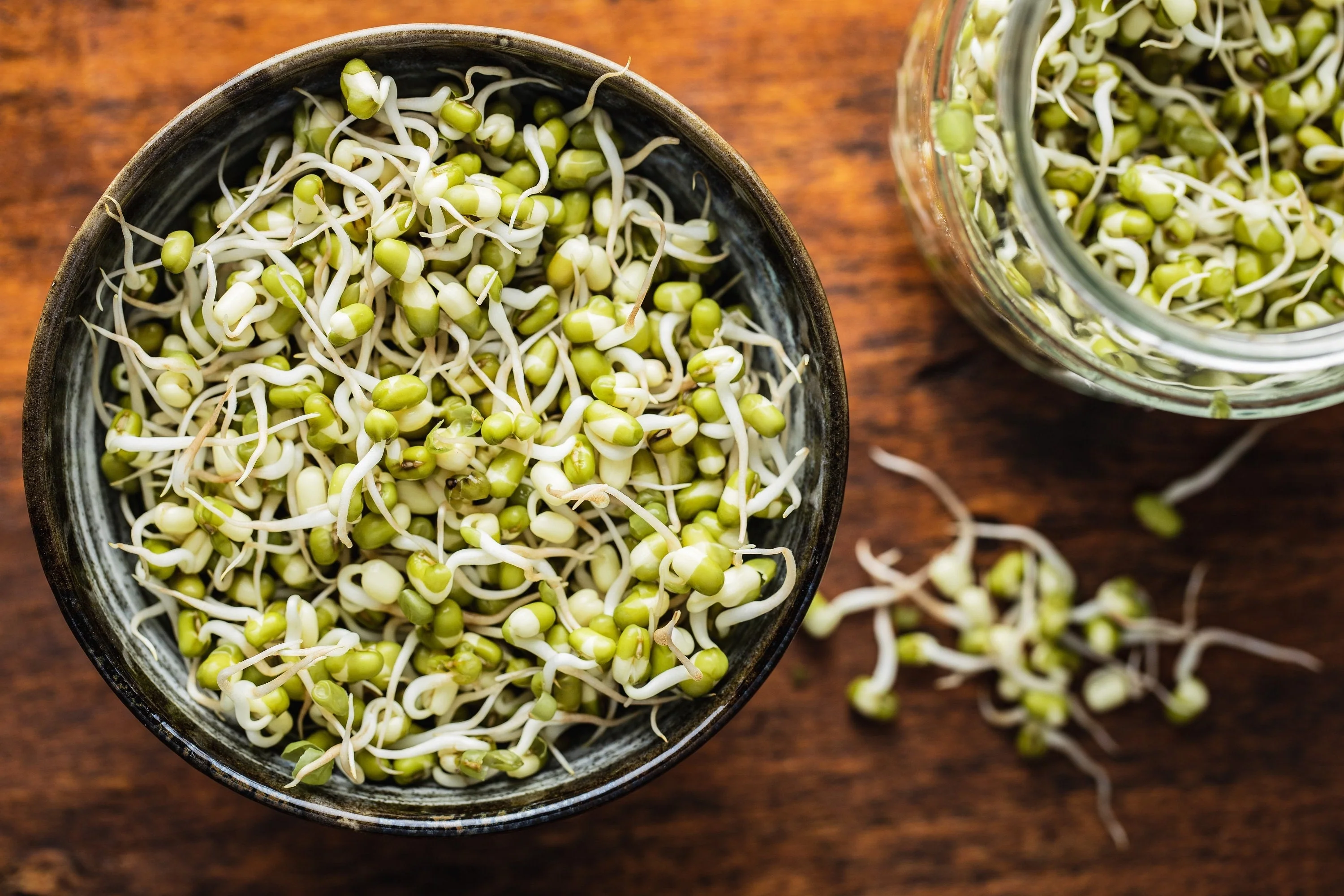 ORGANIC SPROUTING MIX - Peas, Mung & Adzuki Beans, Green, French, & Red Lentil Vegetable Sprout Seeds - Image 6