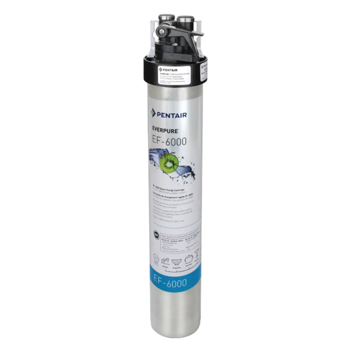 Pentair EF-6000 Series