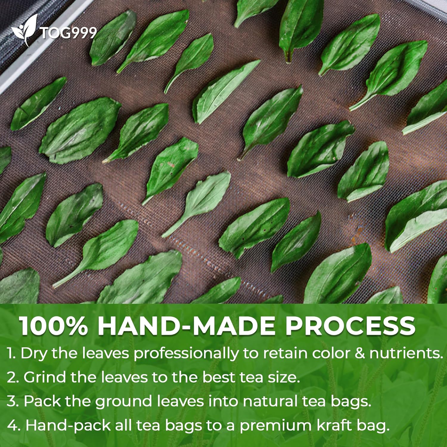 Plantain Leaf Tea Bags, 100% Natural & Pure Plantain Leaves. Loose Leaf Plantain Herbal Tea. Plantain Leaf Tea. No Sugar, No Caffeine, No Gluten, Vegan. - Image 7