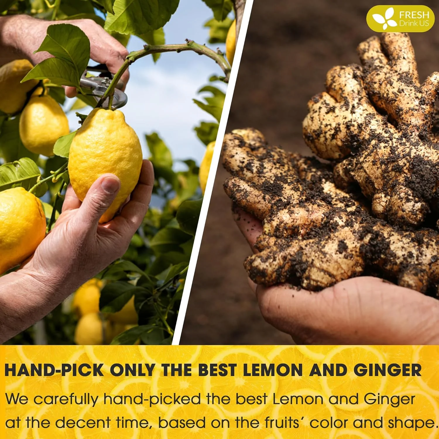 Premium Lemon Ginger Tea Bag, Eco-conscious Tea Bags. Lemon Ginger Herbal Tea. No Sugar, No Caffeine, No Gluten, Vegan. - Image 3