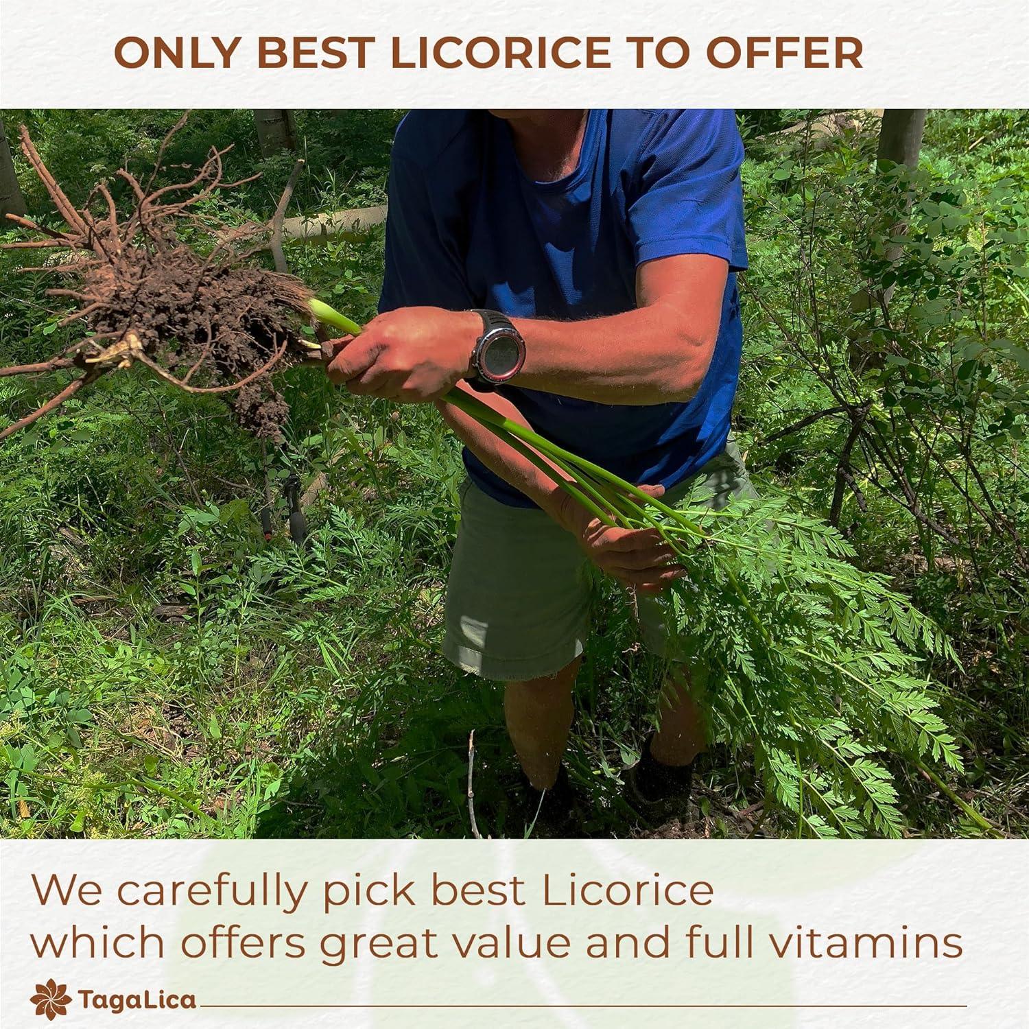 Premium Licorice Root Tea Bags, 100% Natural, Pure Licorice Root, Eco-Conscious Tea Bags, Licorice Root Herbal Tea, Licorice Root Tea. No Sugar, No Caffeine, No Gluten, Vegan - Image 8