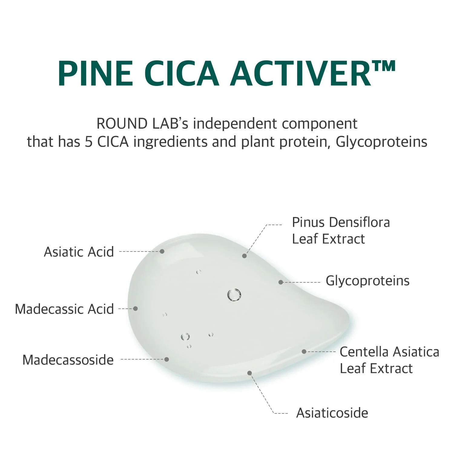 Round Lab Pine Calming CICA Mask - Image 4