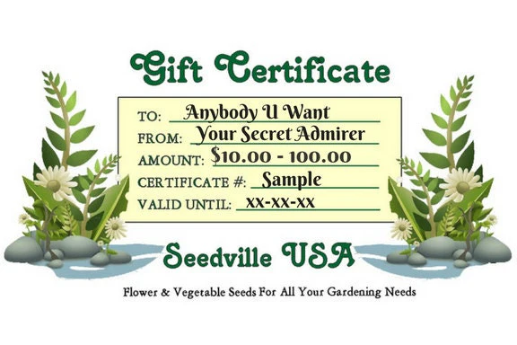 Seedville USA Shop Gift Certificate - Ferns Rock Design - By Email or Postal Mail - You Choose Amount - Image 2
