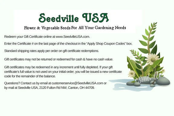 Seedville USA Shop Gift Certificate - Ferns Rock Design - By Email or Postal Mail - You Choose Amount - Image 3