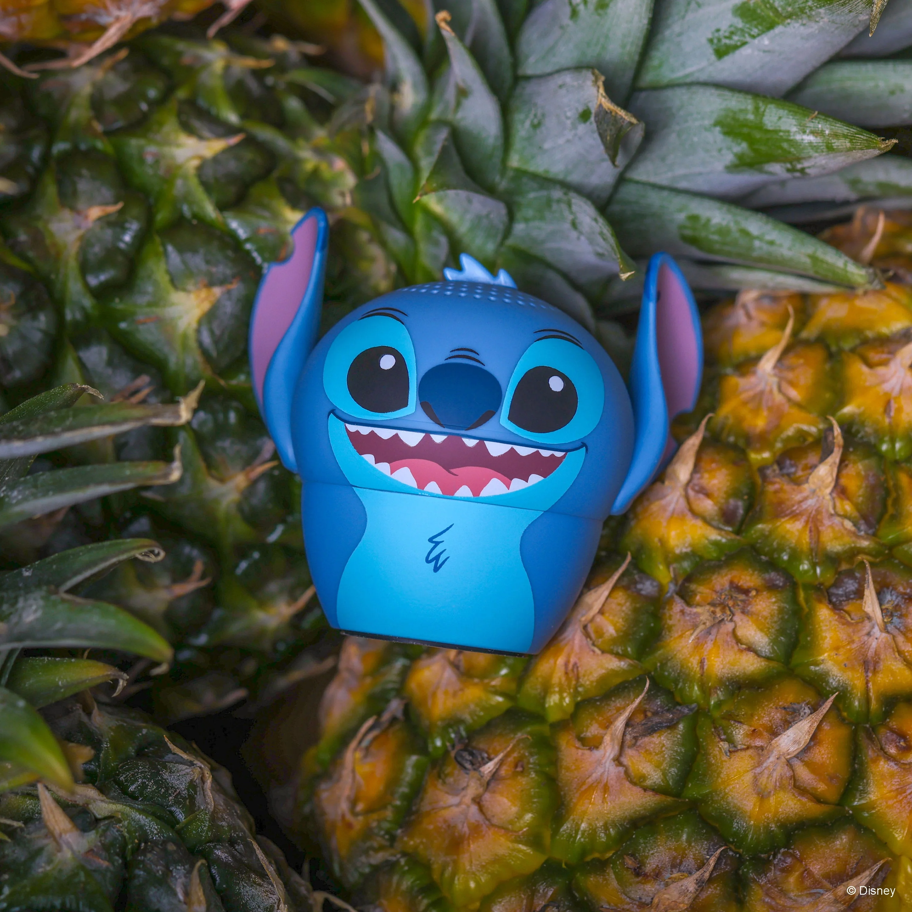 Stitch - Image 2