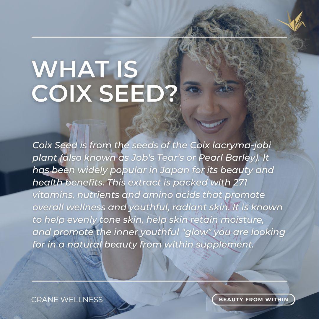 Tone and Glow Coix Seed Extract Powder - Image 4